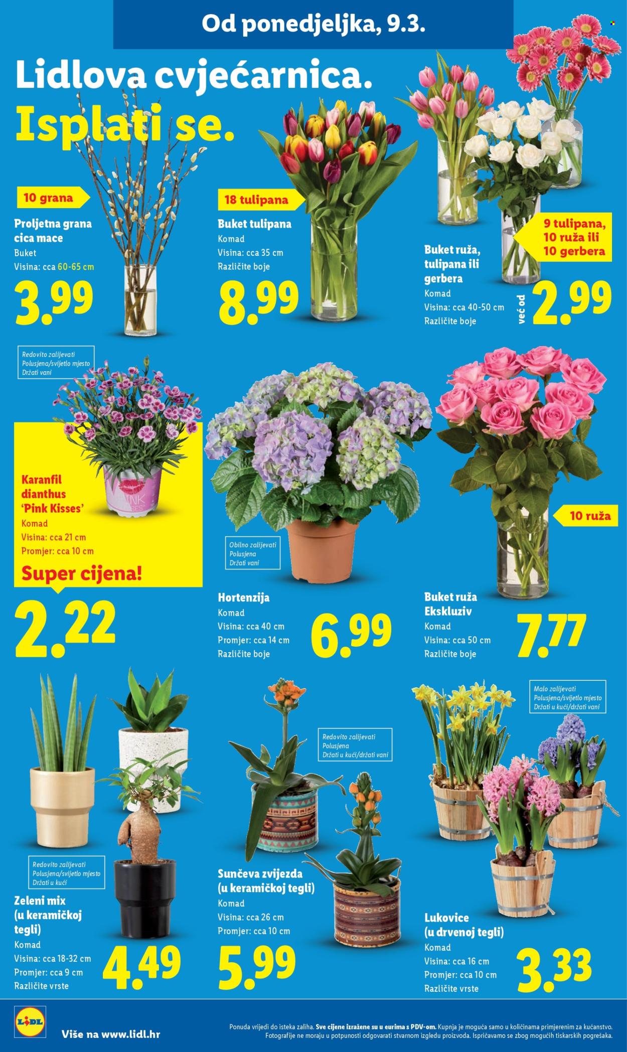 Lidl katalog - 09.03.2026. - 15.03.2026. Stranica 50