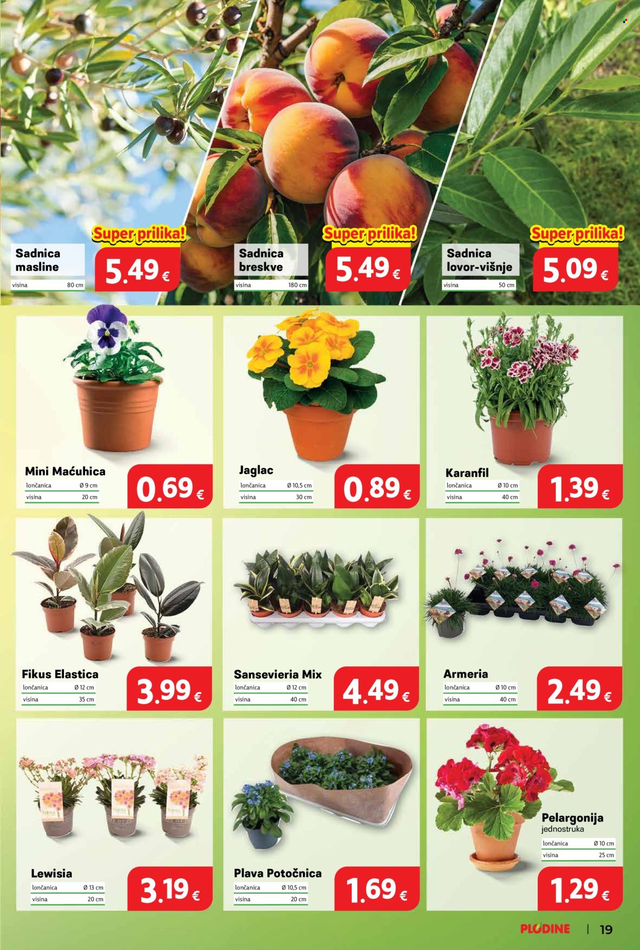 Plodine katalog - 11.03.2026. - 17.03.2026. Stranica 19