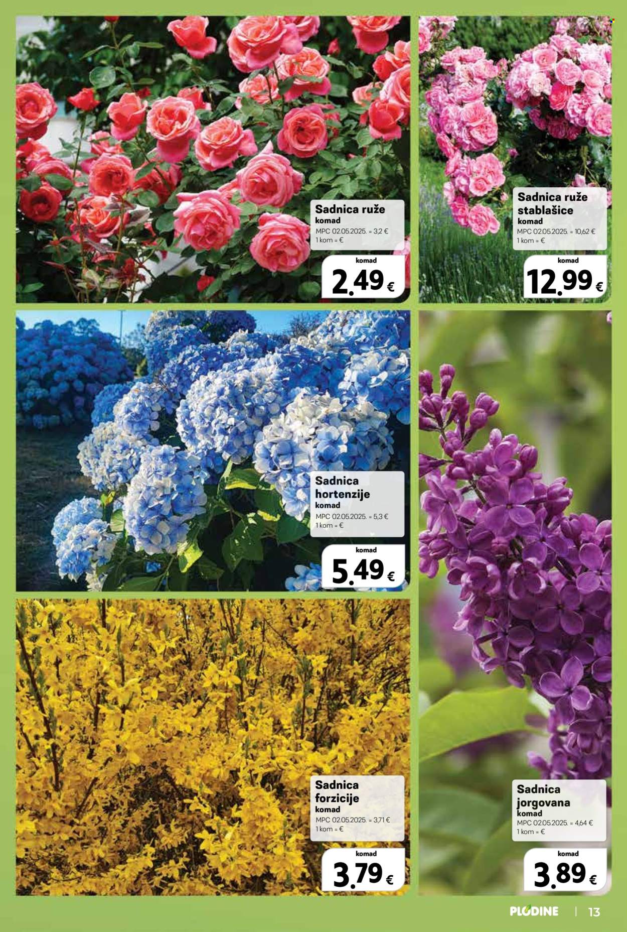 Plodine katalog - 11.03.2026. - 07.04.2026. Stranica 13