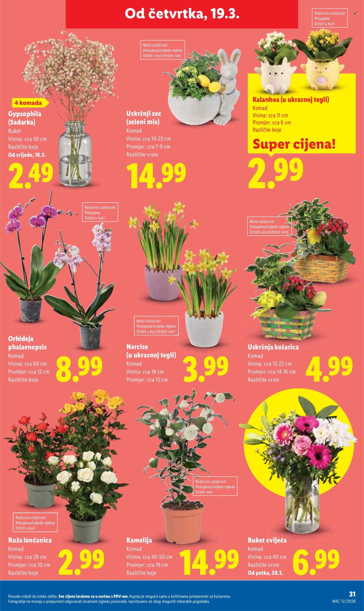 Lidl katalog - 16.03.2026. - 22.03.2026. Stranica 31