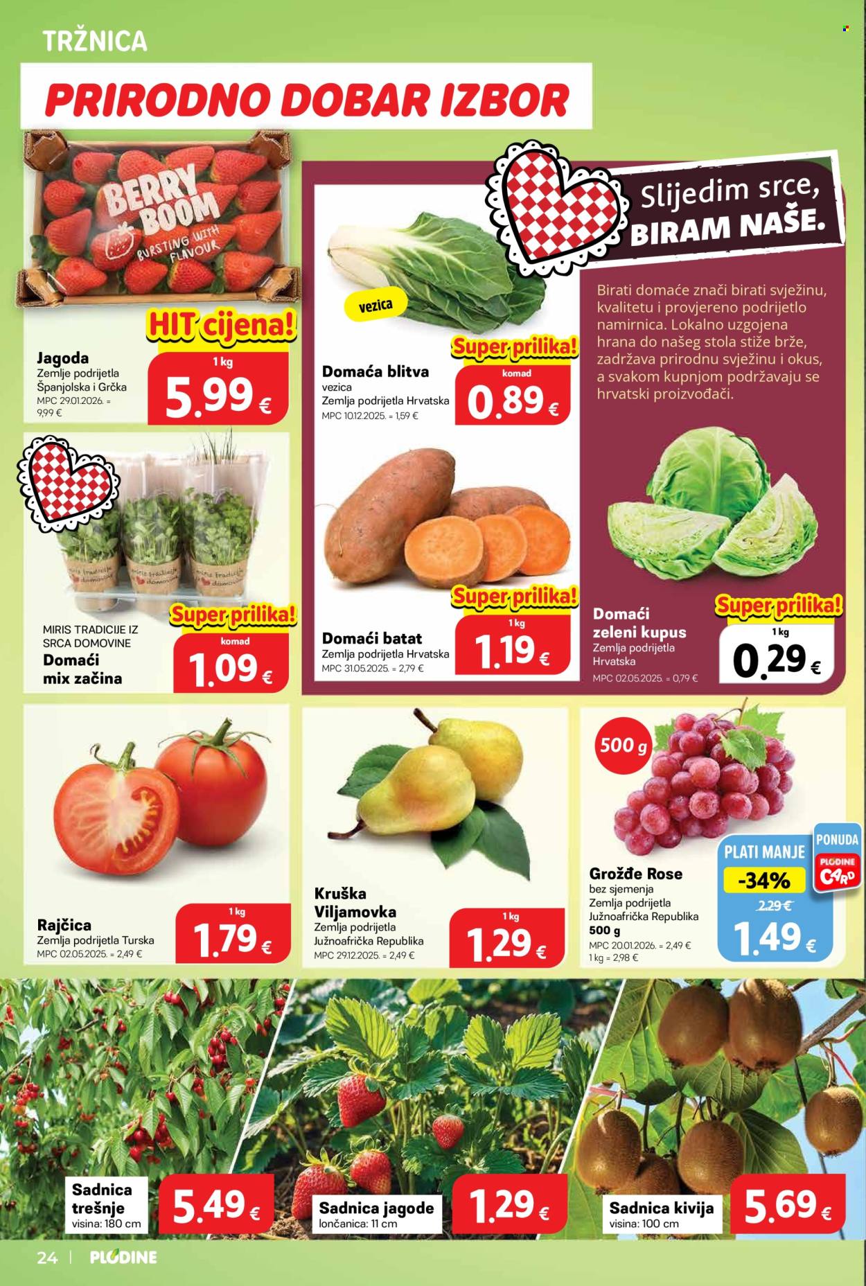 Plodine katalog - 18.03.2026. - 24.03.2026. Stranica 24