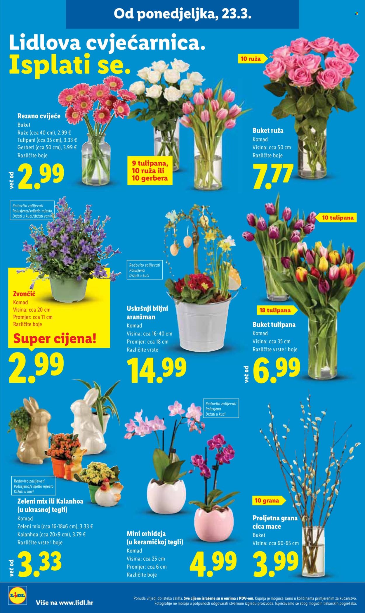 Lidl katalog - 23.03.2026. - 29.03.2026. Stranica 28