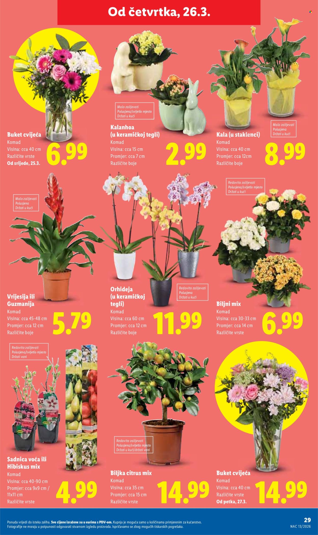 Lidl katalog - 23.03.2026. - 29.03.2026. Stranica 29