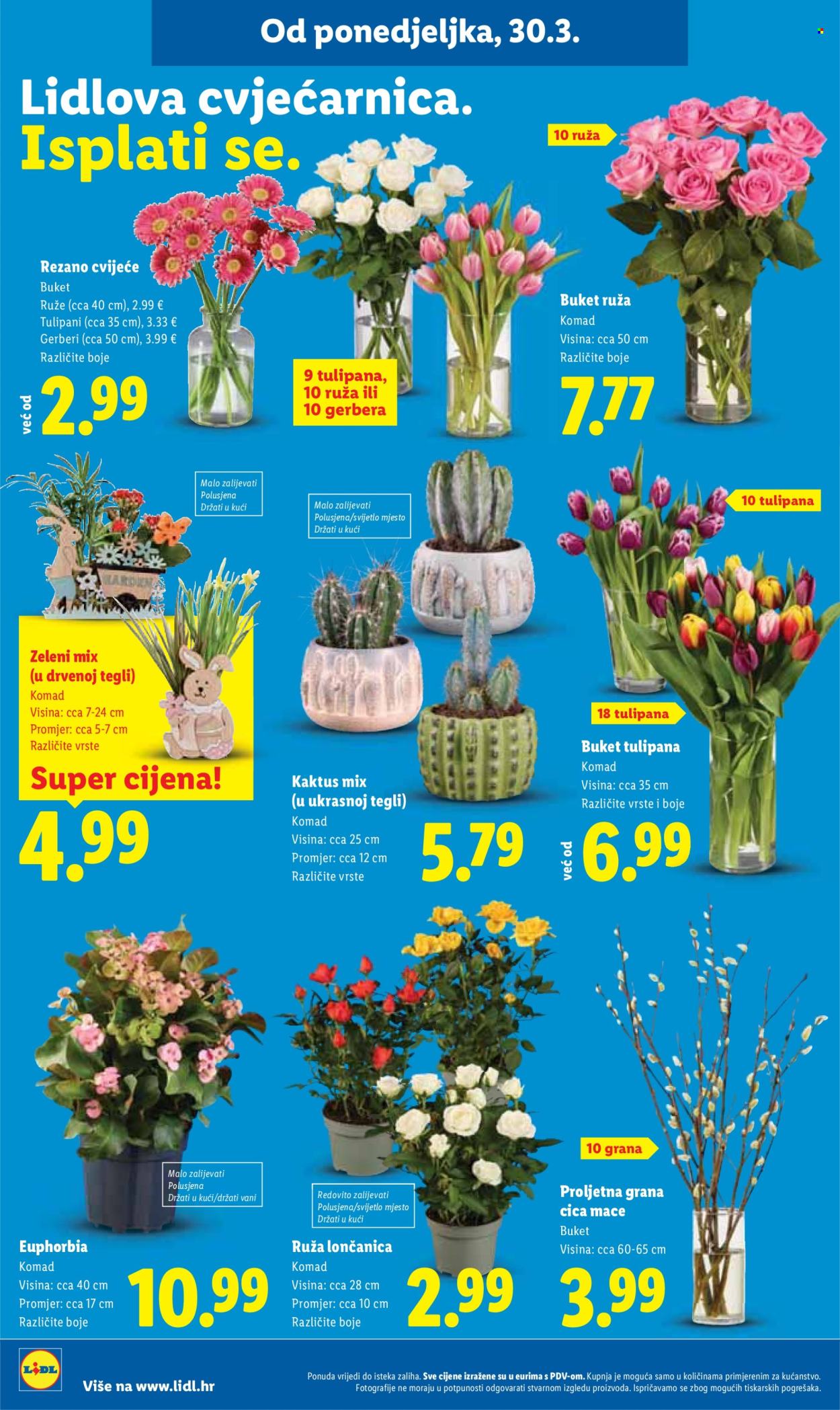 Lidl katalog - 30.03.2026. - 04.04.2026. Stranica 42
