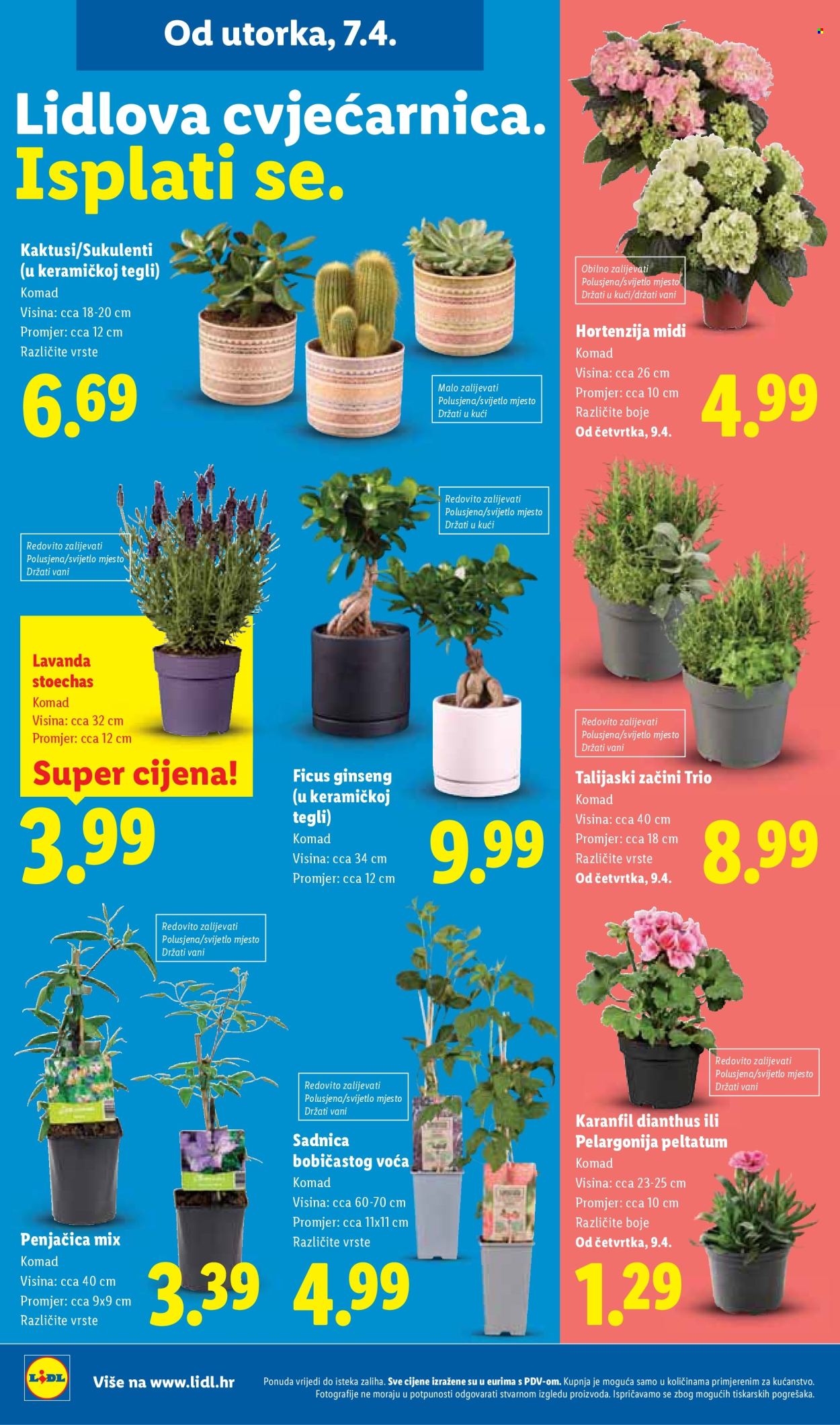 Lidl katalog - 07.04.2026. - 12.04.2026. Stranica 50