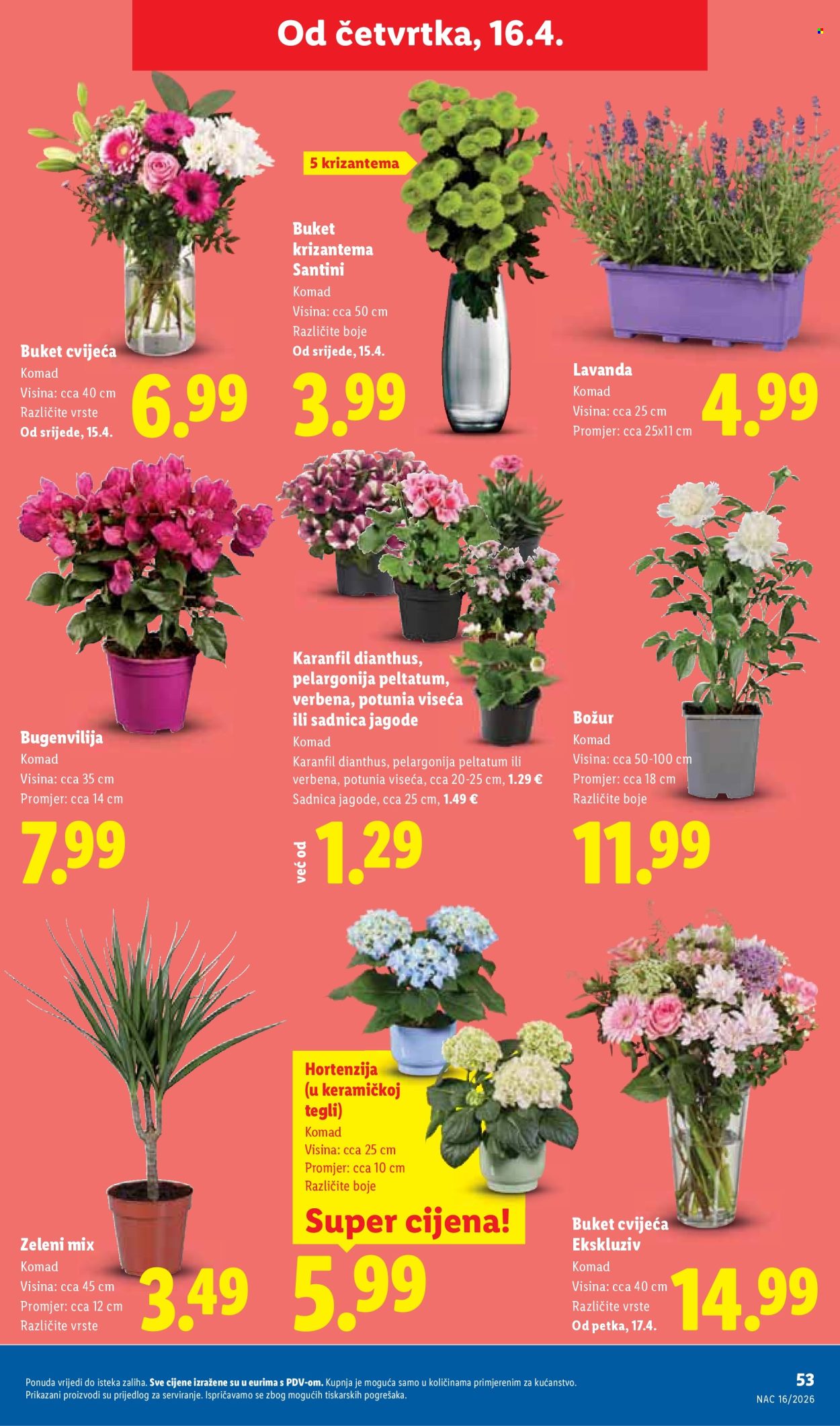 Lidl katalog - 13.04.2026. - 19.04.2026. Stranica 53
