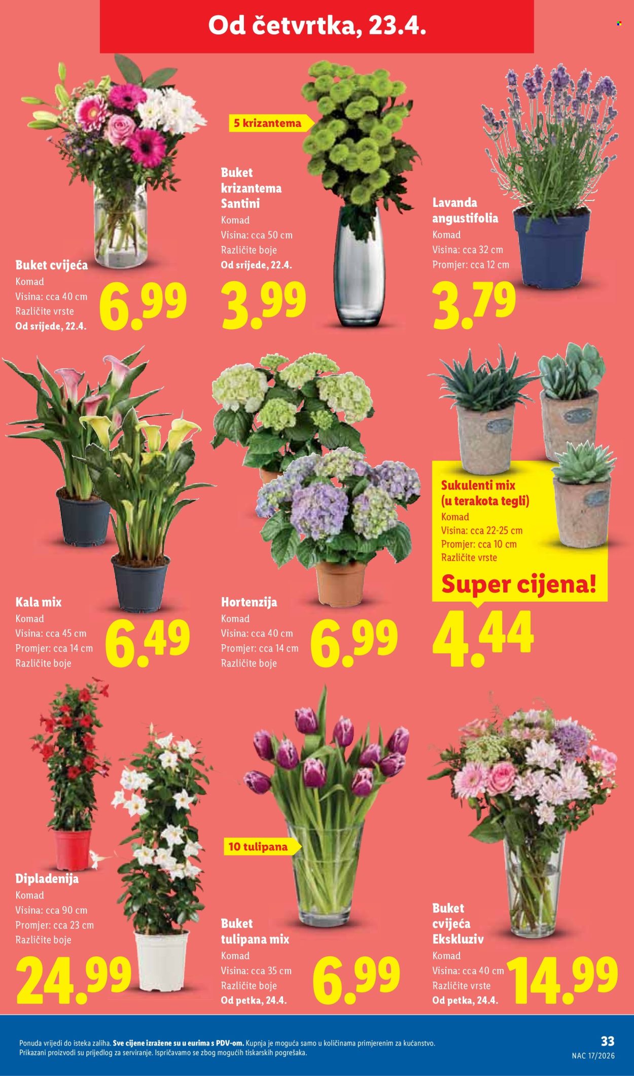 Lidl katalog - 20.04.2026. - 26.04.2026. Stranica 33