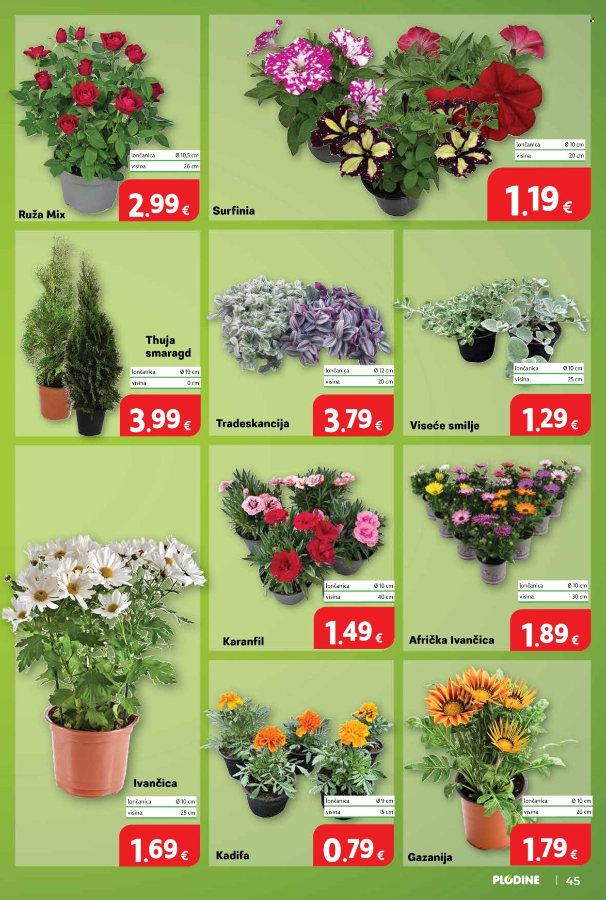 Plodine katalog - 29.04.2026. - 05.05.2026. Stranica 45