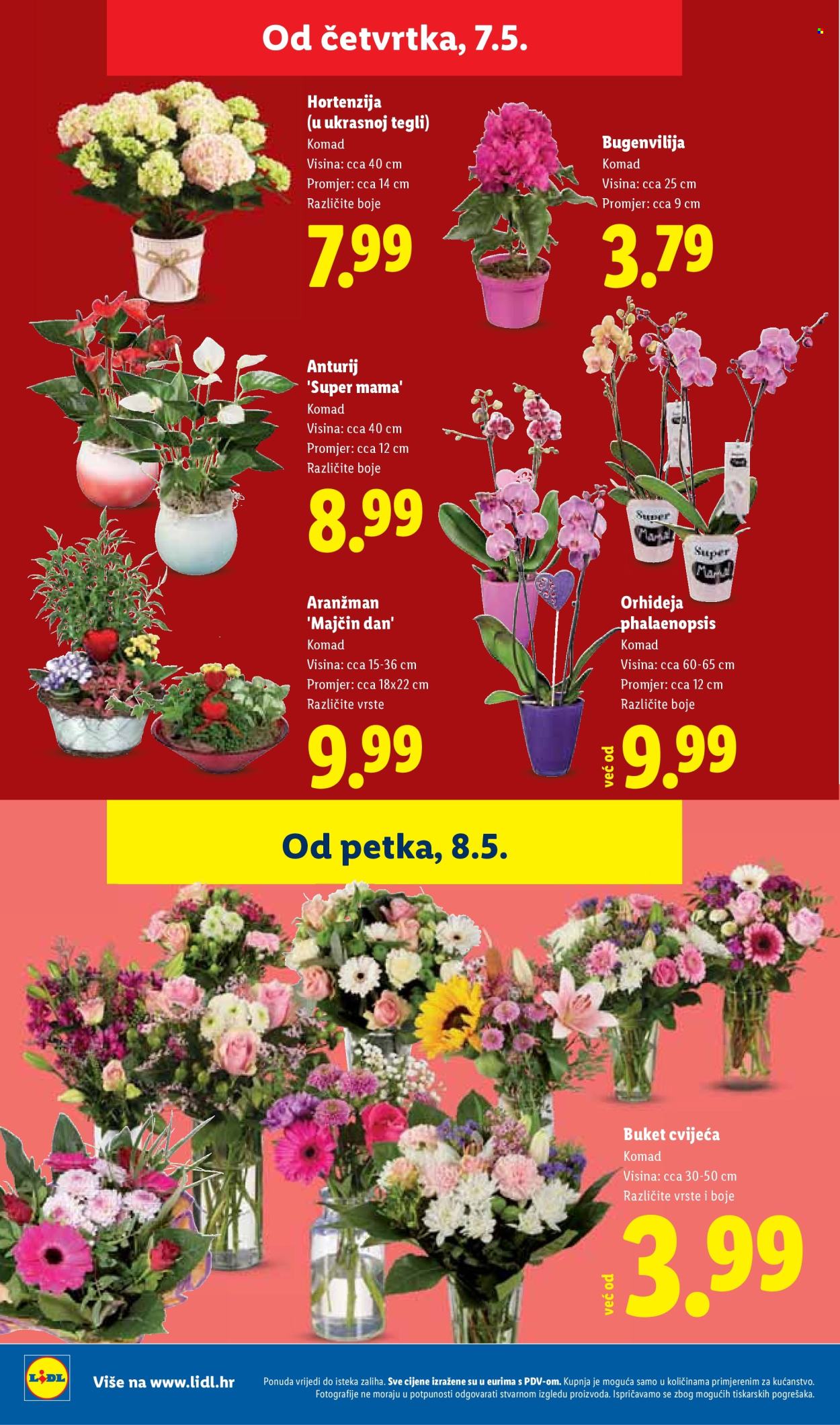 Lidl katalog - 04.05.2026. - 10.05.2026. Stranica 46