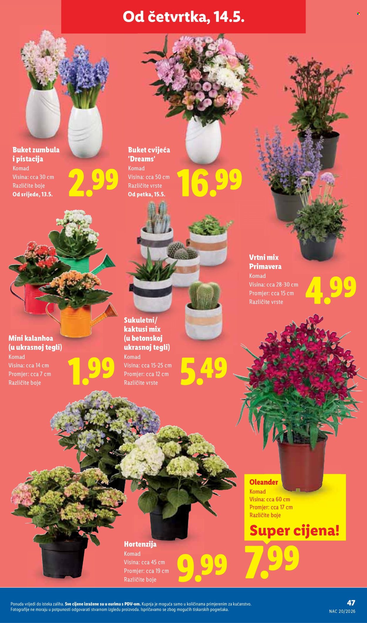 Lidl katalog - 11.05.2026. - 17.05.2026. Stranica 47