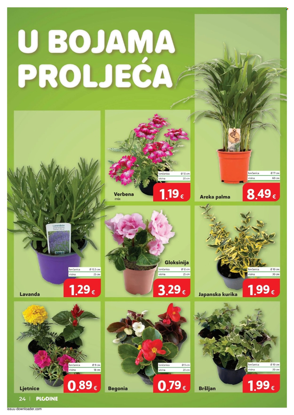 Plodine katalog - 13.05.2026. - 19.05.2026. Stranica 24