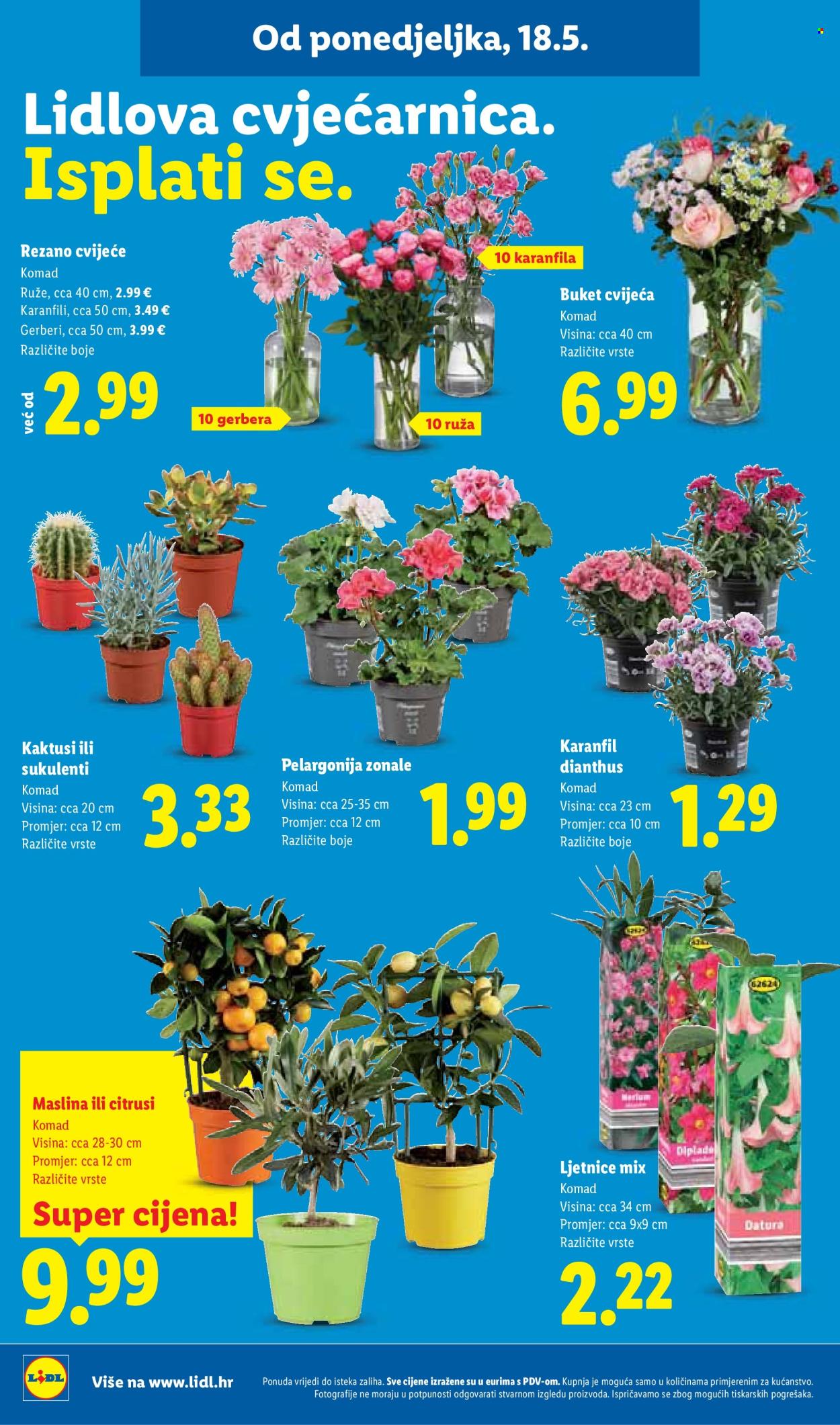 Lidl katalog - 18.05.2026. - 24.05.2026. Stranica 42