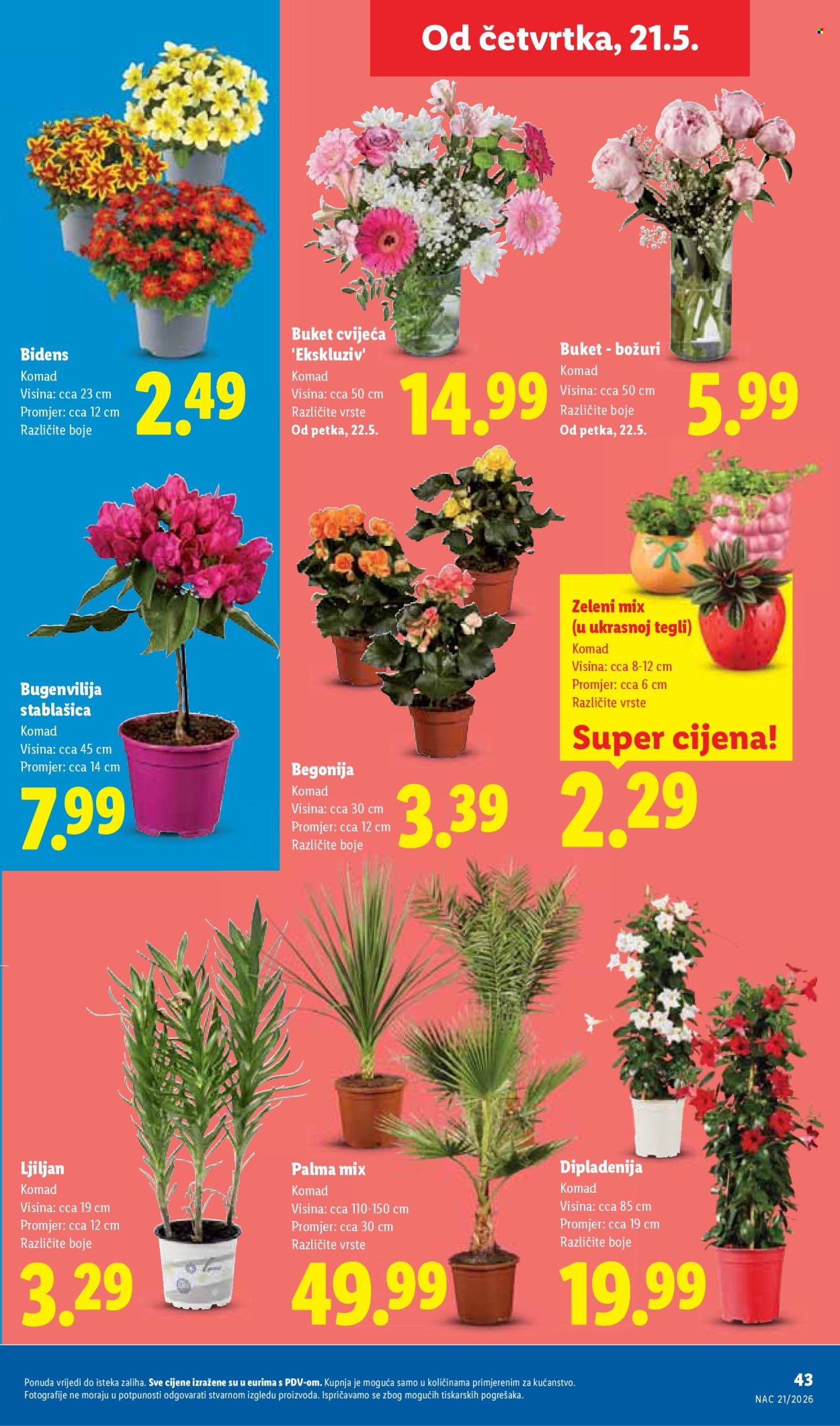 Lidl katalog - 18.05.2026. - 24.05.2026. Stranica 43