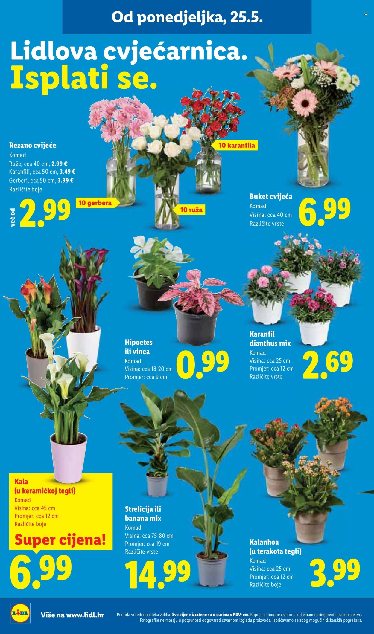 Lidl katalog - 25.05.2026. - 31.05.2026. Stranica 40
