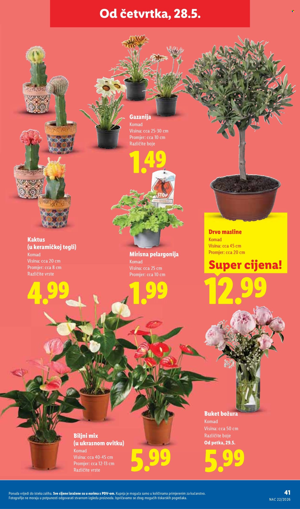 Lidl katalog - 25.05.2026. - 31.05.2026. Stranica 41