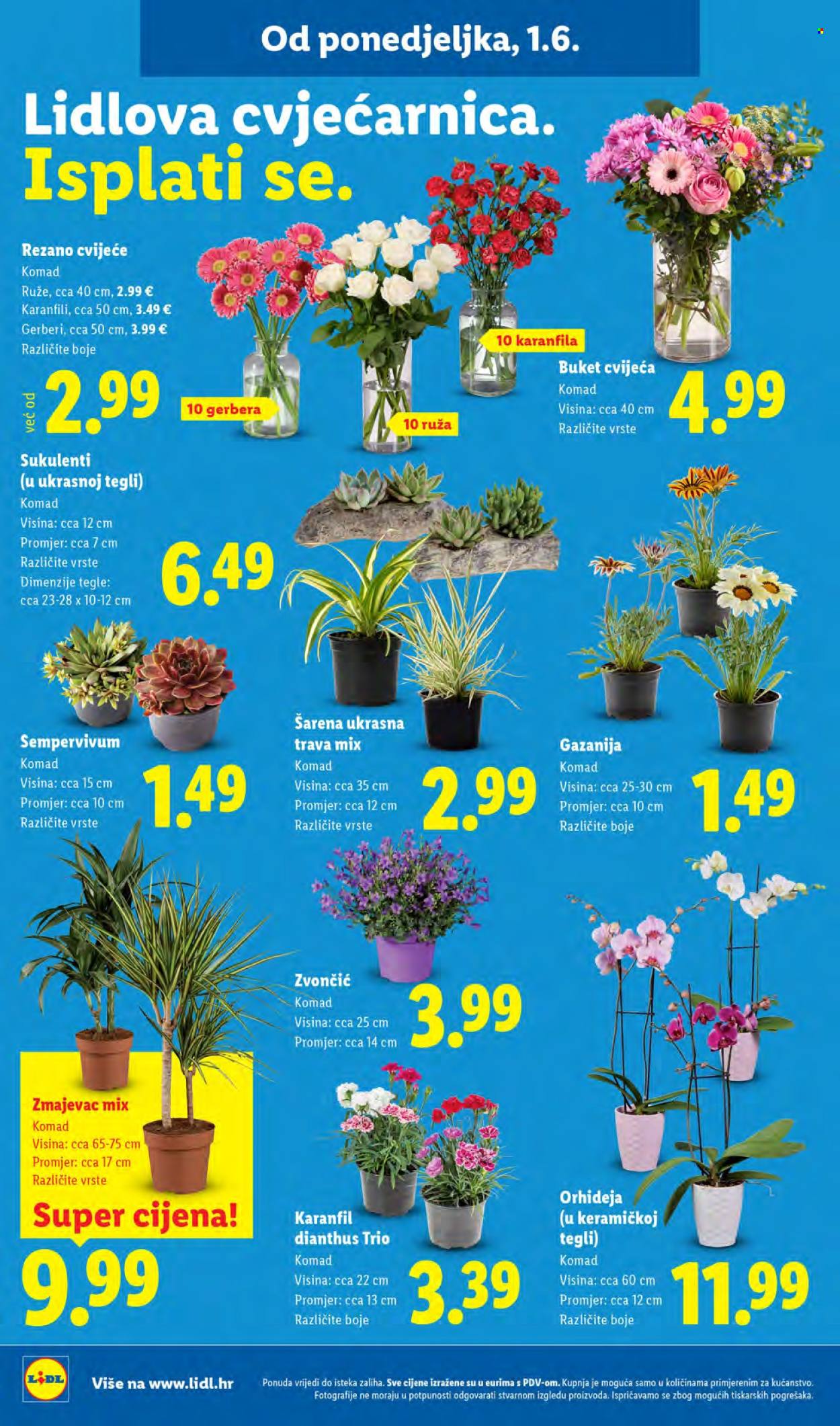 Lidl katalog - 01.06.2026. - 07.06.2026. Stranica 46