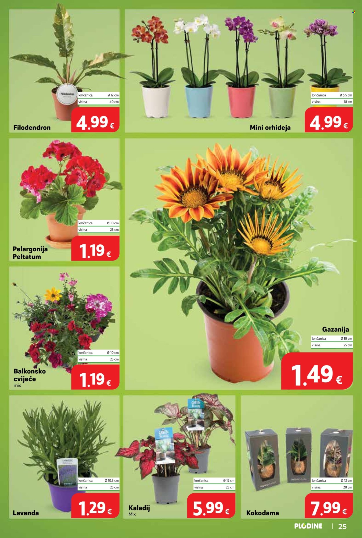Plodine katalog - 03.06.2026. - 09.06.2026. Stranica 25