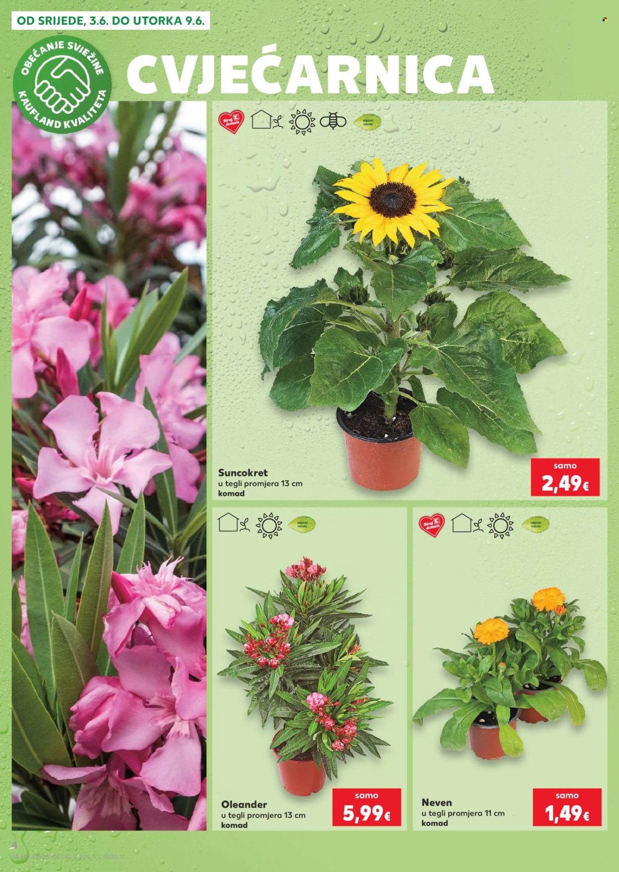 Kaufland katalog - 03.06.2026. - 09.06.2026. Stranica 4