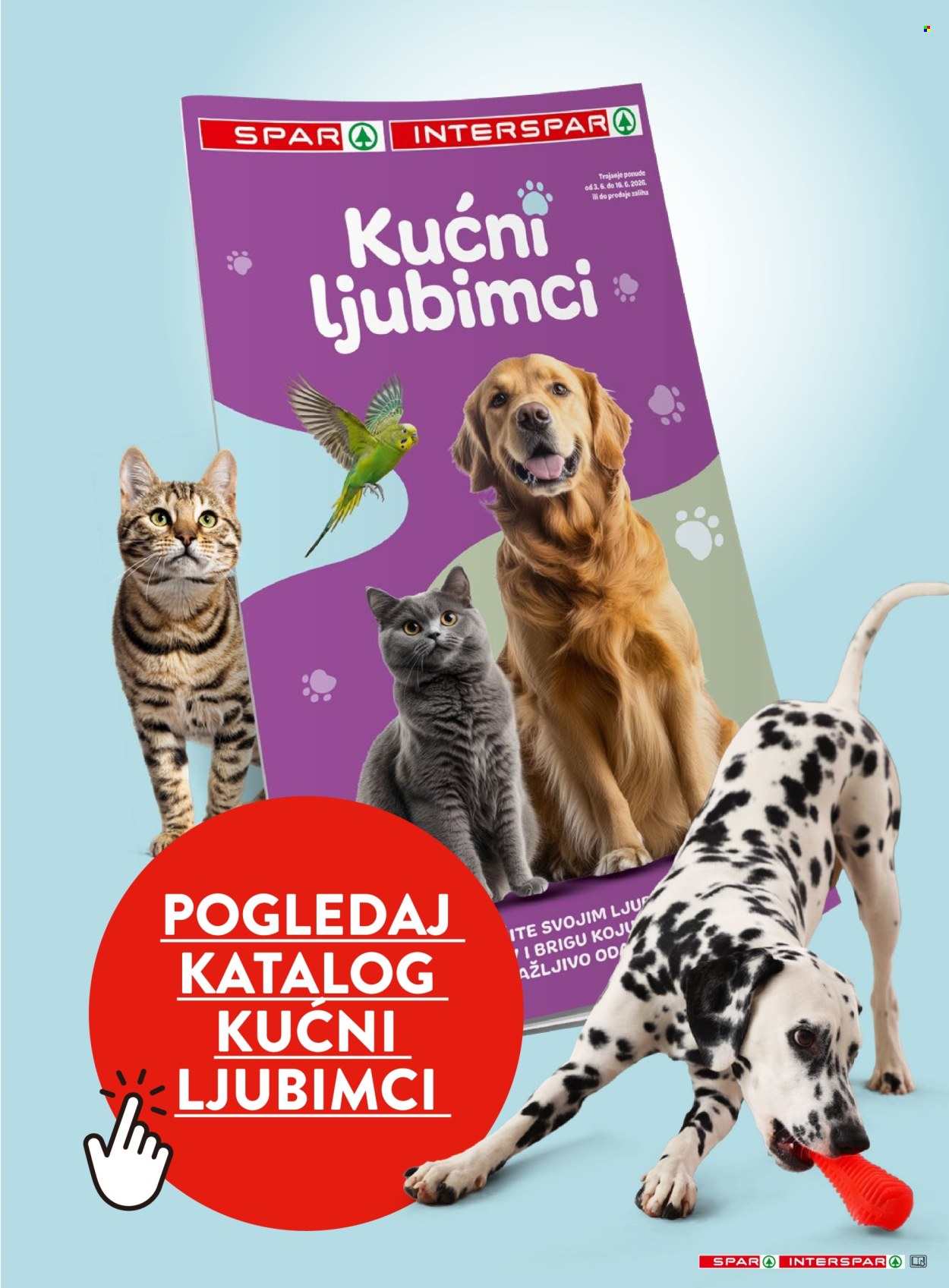 INTERSPAR katalog - 10.06.2026. - 16.06.2026. Stranica 39