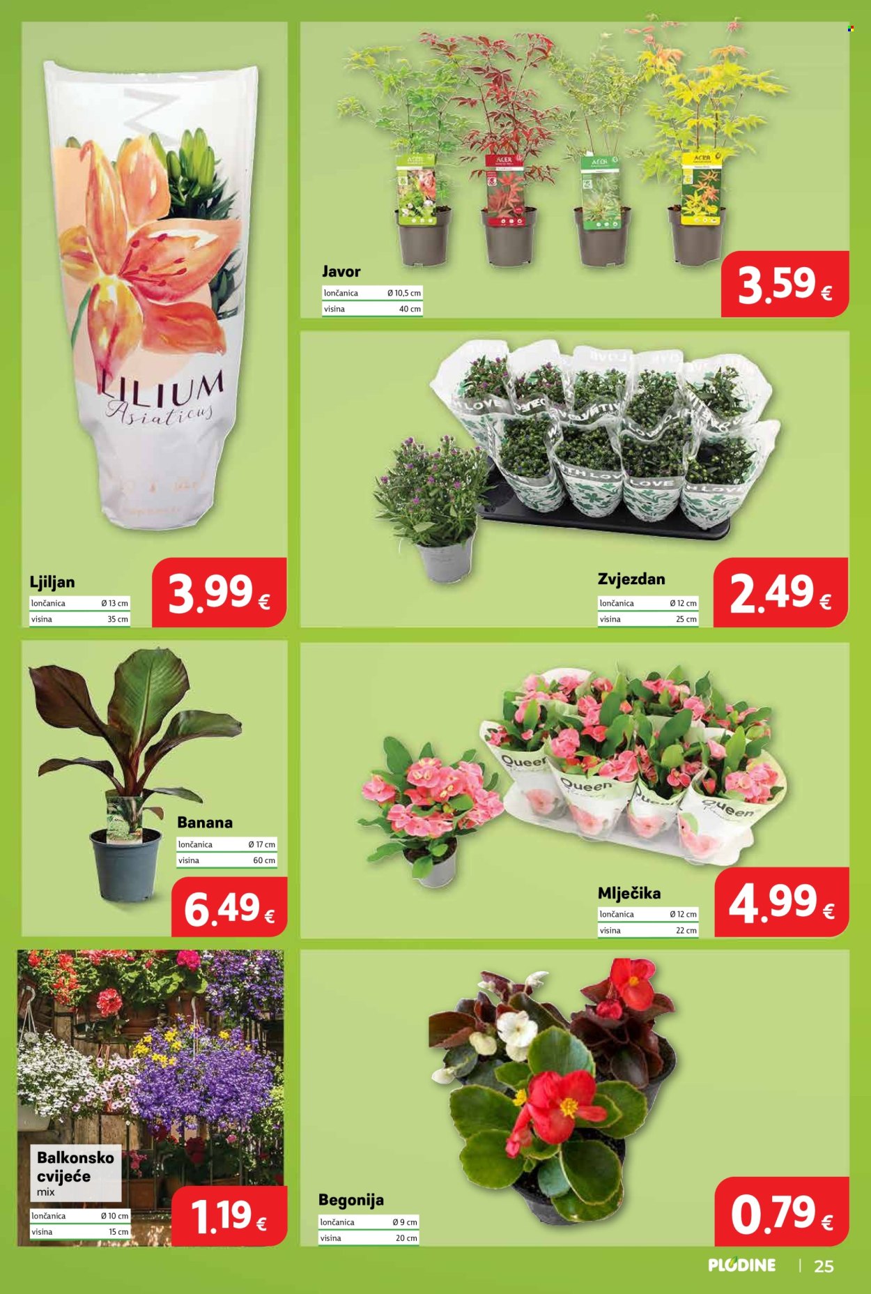 Plodine katalog - 17.06.2026. - 23.06.2026. Stranica 25