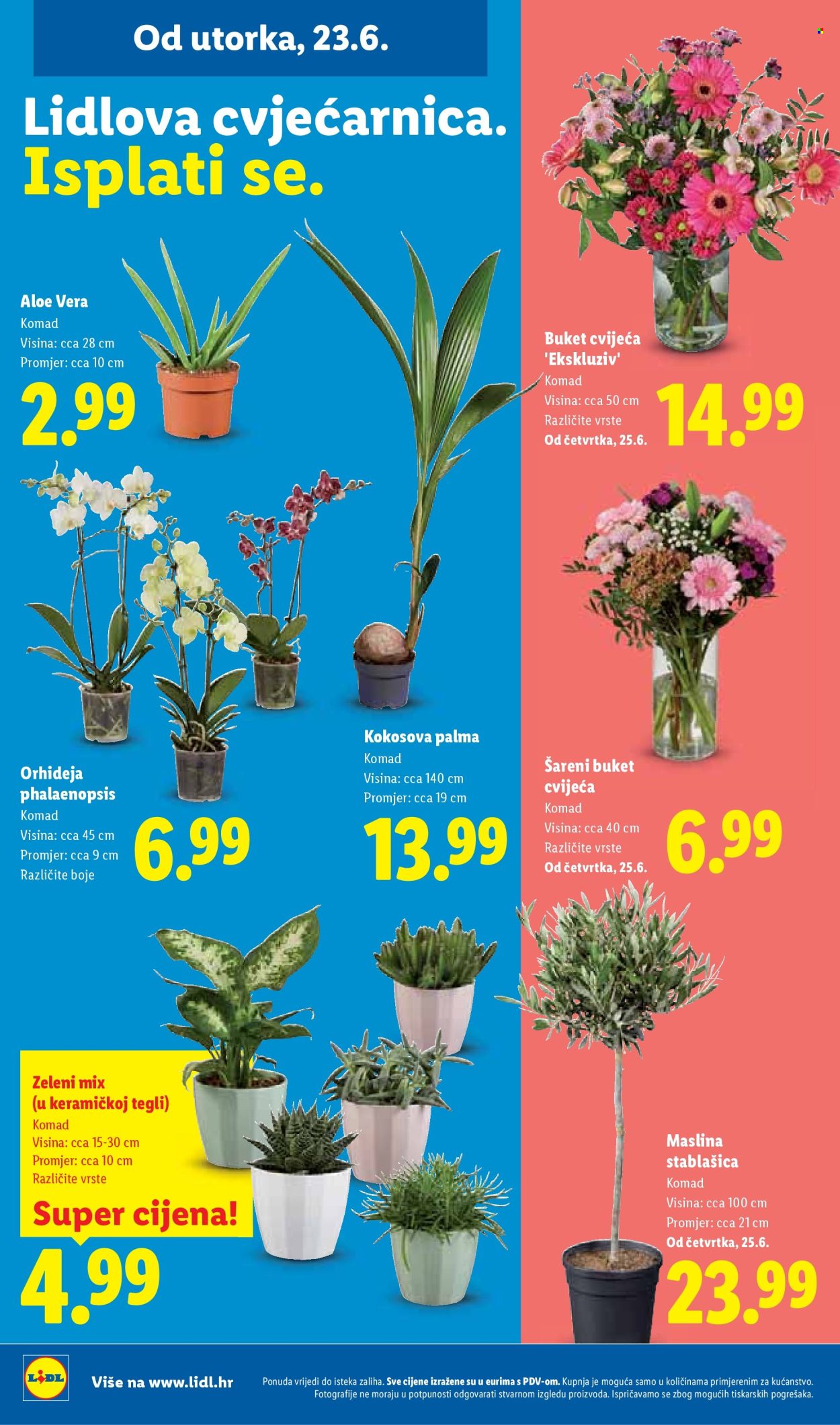 Lidl katalog - 23.06.2026. - 28.06.2026. Stranica 50
