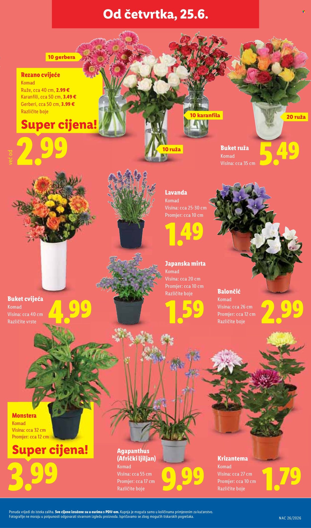 Lidl katalog - 23.06.2026. - 28.06.2026. Stranica 51