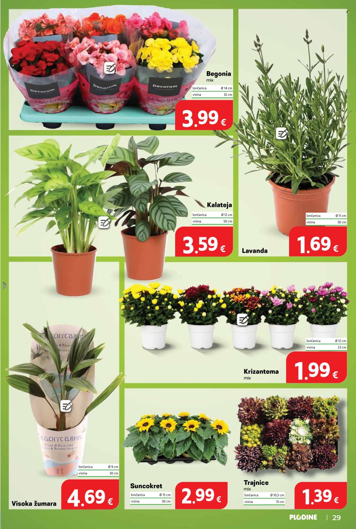 Plodine katalog - 25.06.2026. - 30.06.2026. Stranica 29