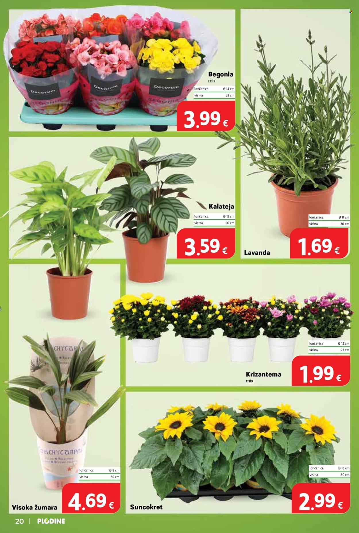 Plodine katalog - 24.06.2026. - 30.06.2026. Stranica 20