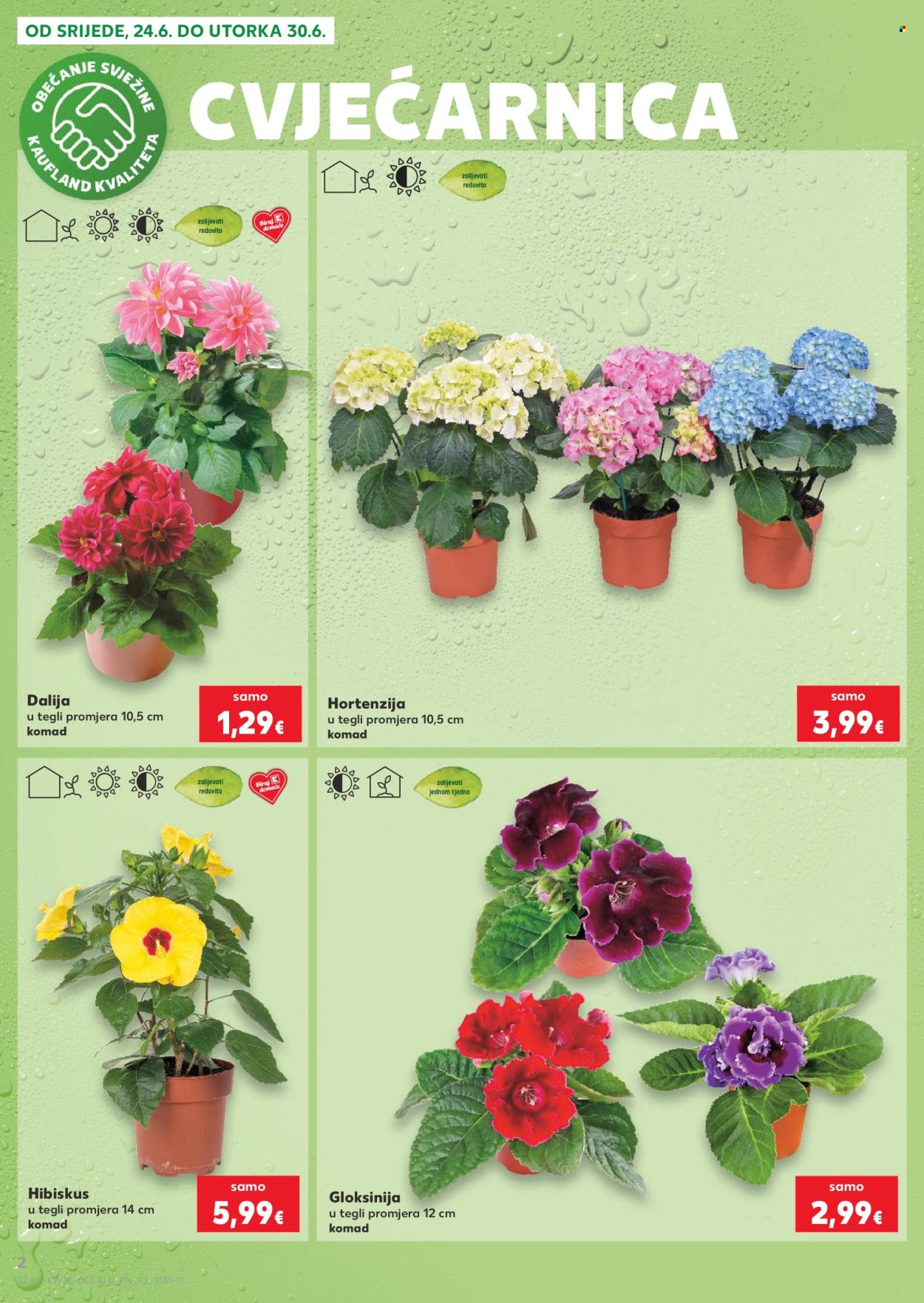 Kaufland katalog - 24.06.2026. - 30.06.2026. Stranica 2
