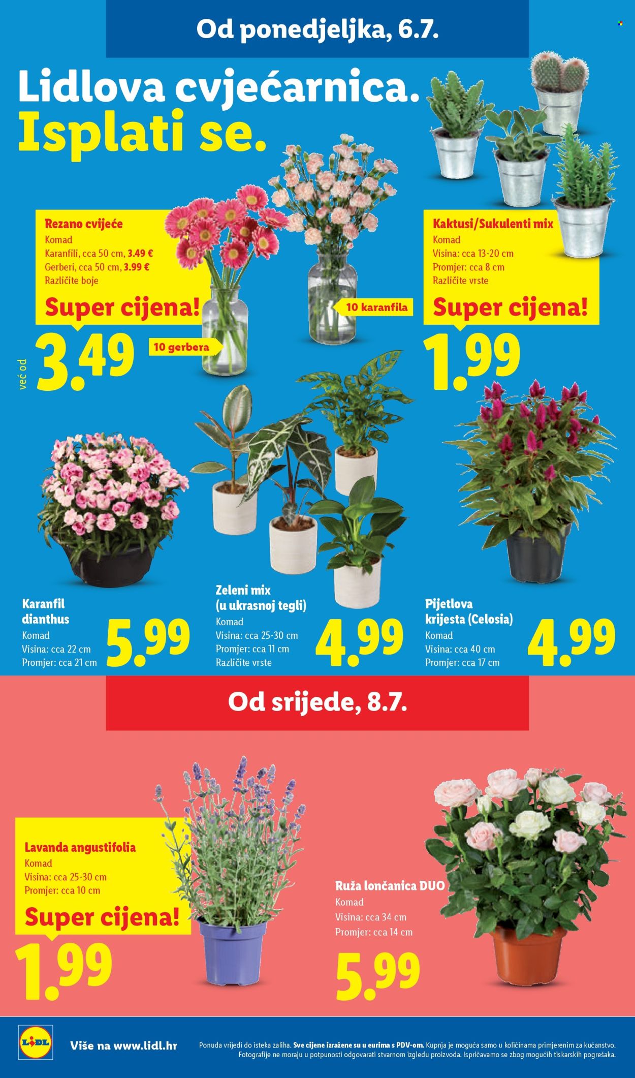 Lidl katalog - 06.07.2026. - 12.07.2026. Stranica 50
