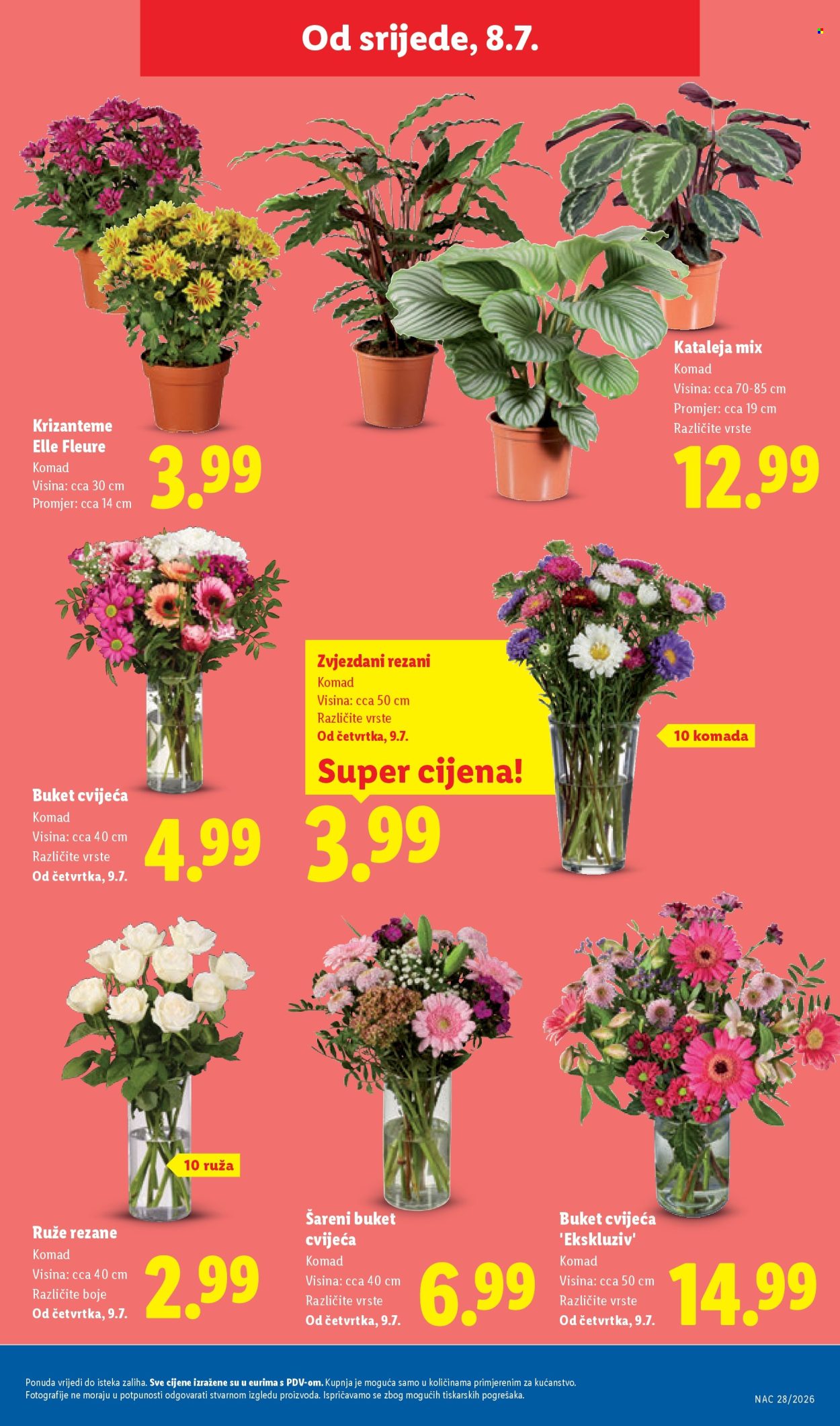 Lidl katalog - 06.07.2026. - 12.07.2026. Stranica 51