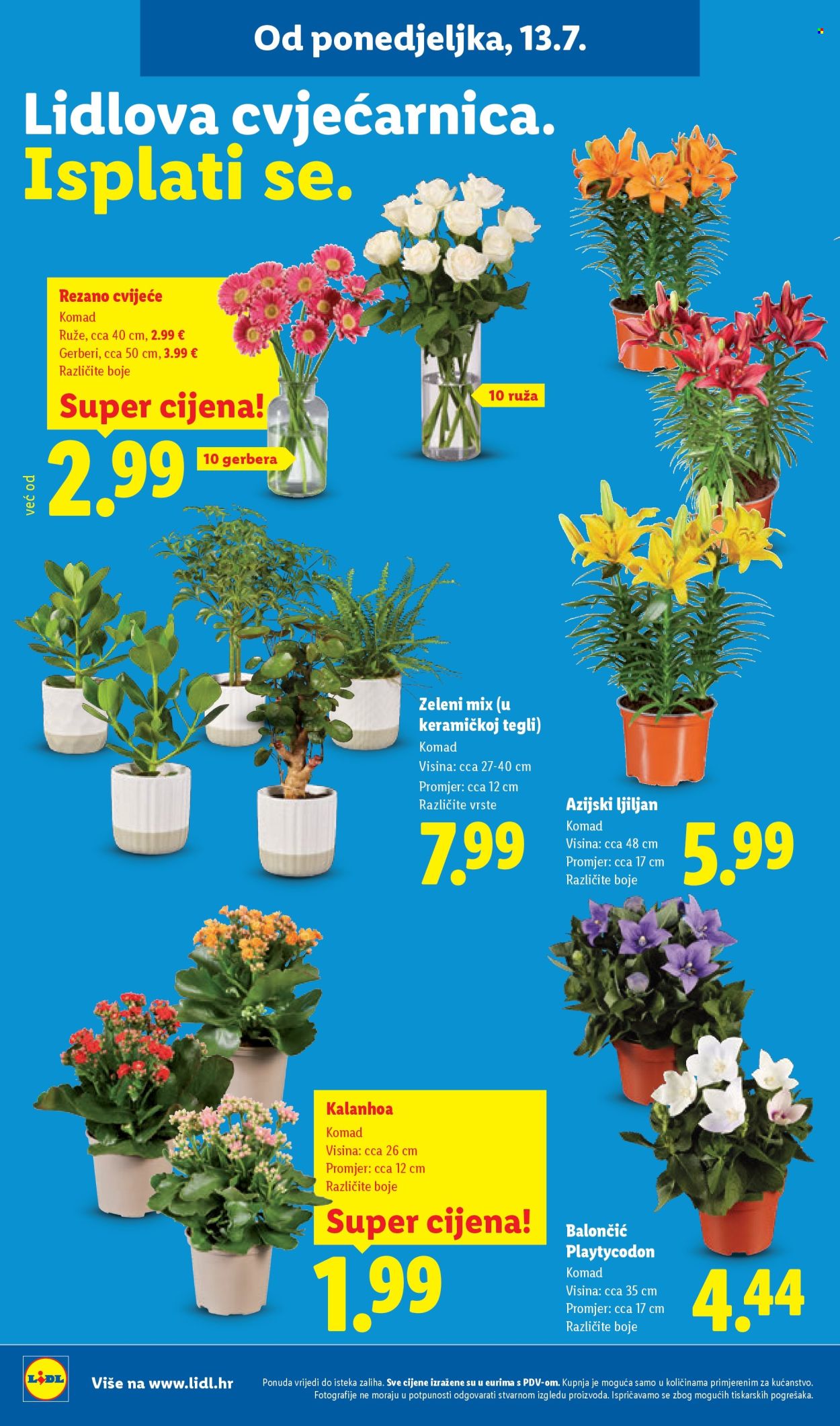 Lidl katalog - 13.07.2026. - 19.07.2026. Stranica 50