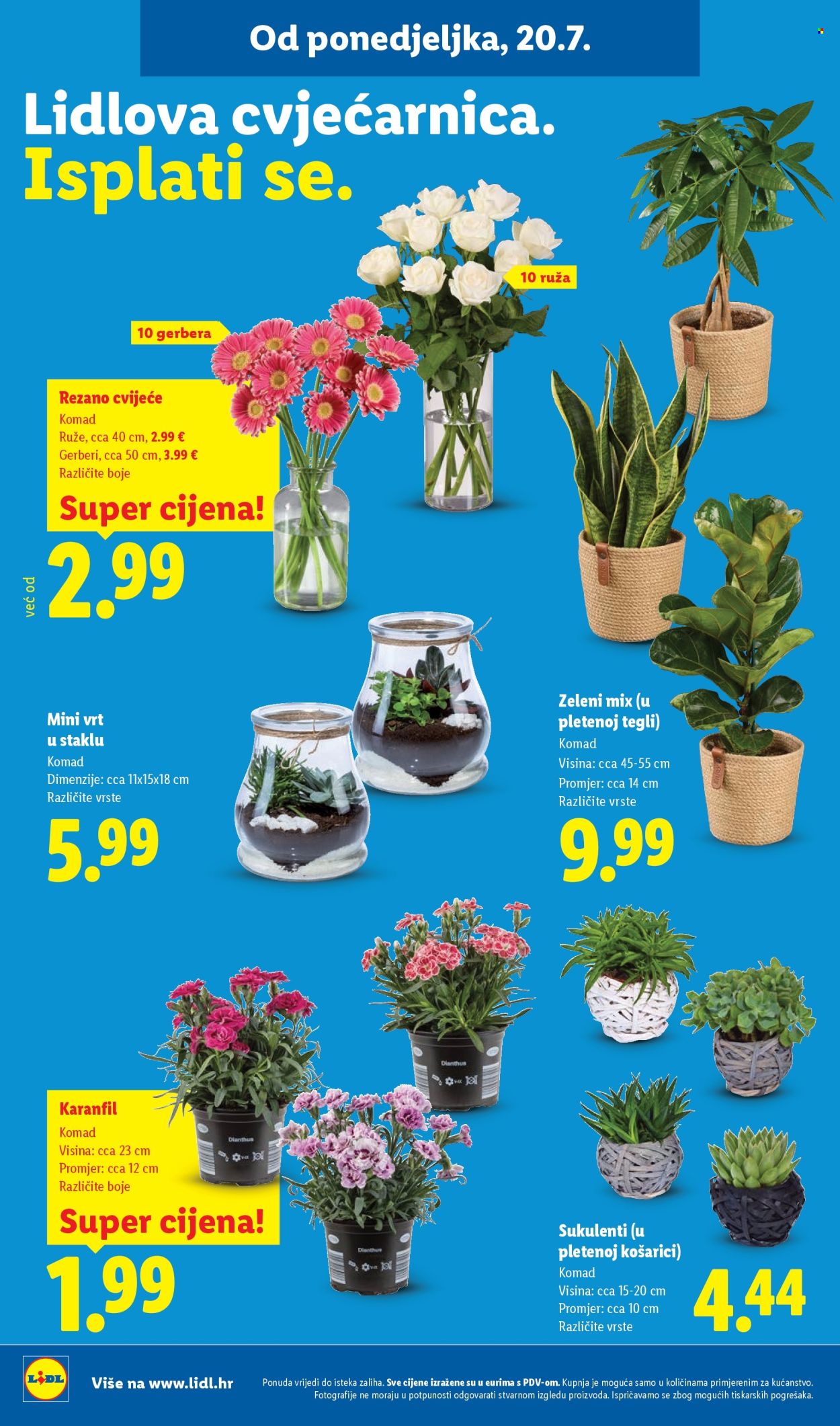 Lidl katalog - 20.07.2026. - 26.07.2026. Stranica 50