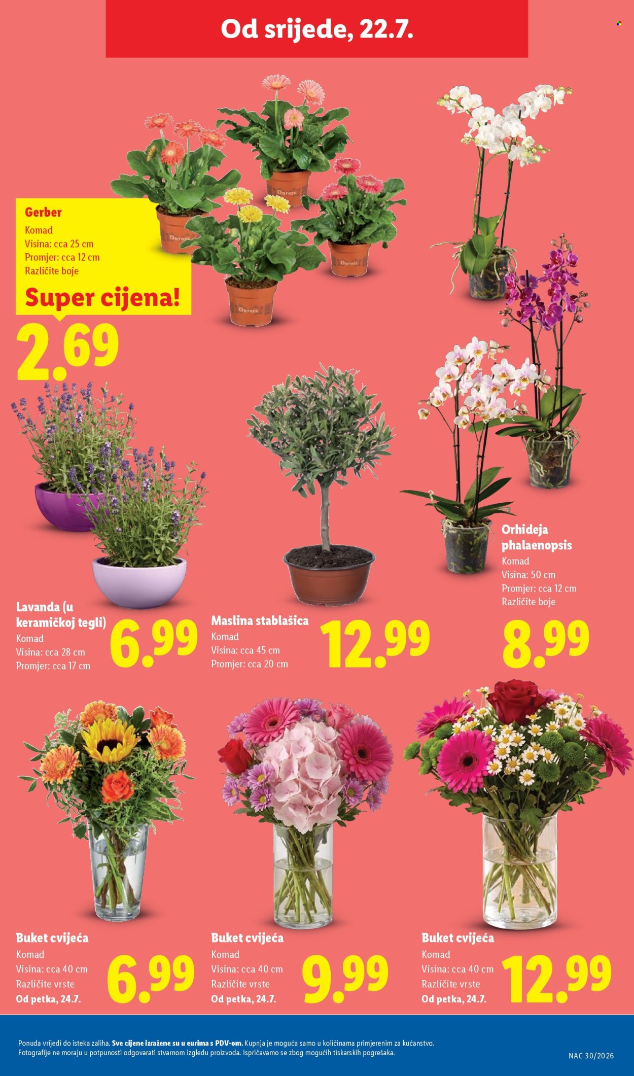 Lidl katalog - 20.07.2026. - 26.07.2026. Stranica 51