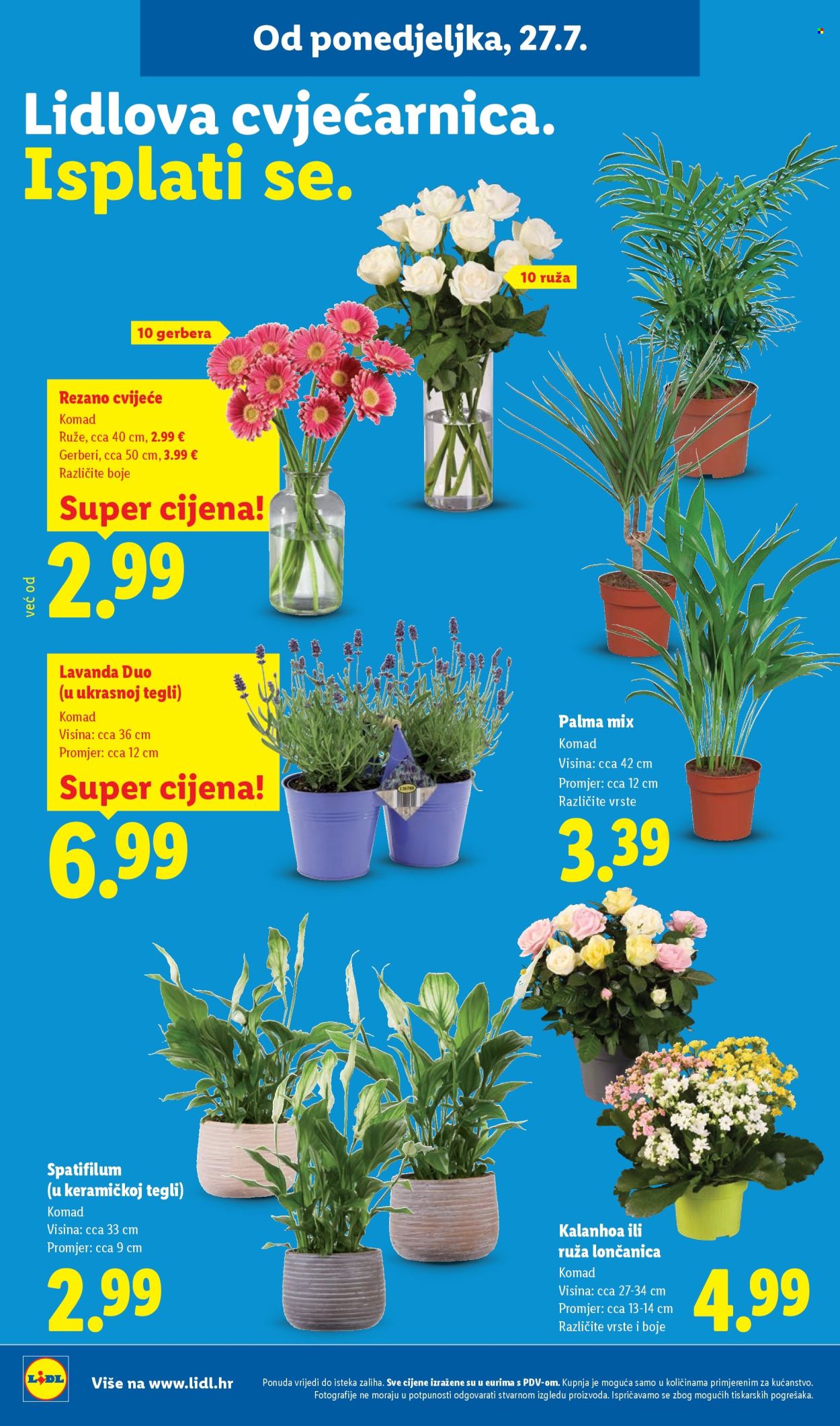 Lidl katalog - 27.07.2026. - 02.08.2026. Stranica 50