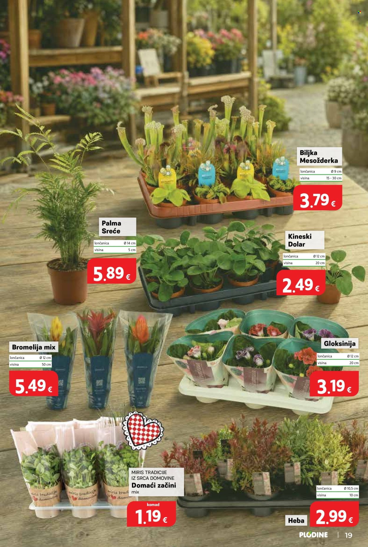 Plodine katalog - 29.07.2026. - 04.08.2026. Stranica 19