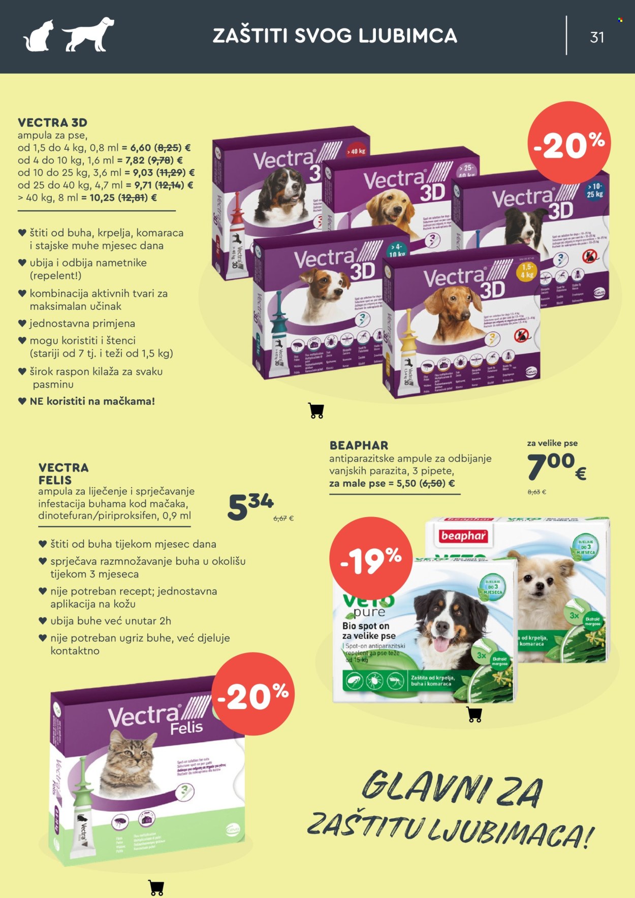 Zoo City katalog - 02.08.2026. - 31.08.2026. Stranica 31
