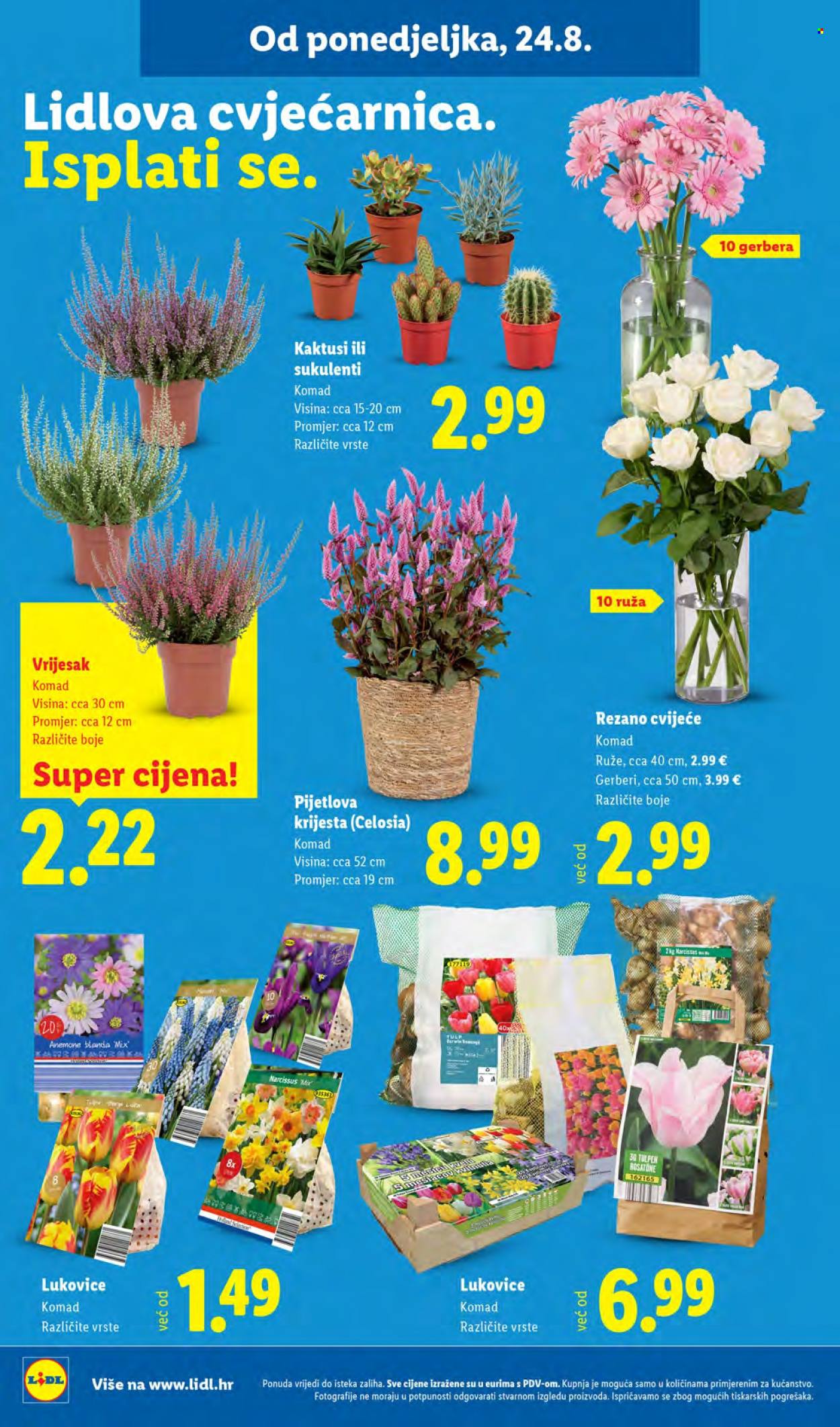Leták Lidl - 24.8.2026 - 30.8.2026. Strana 46