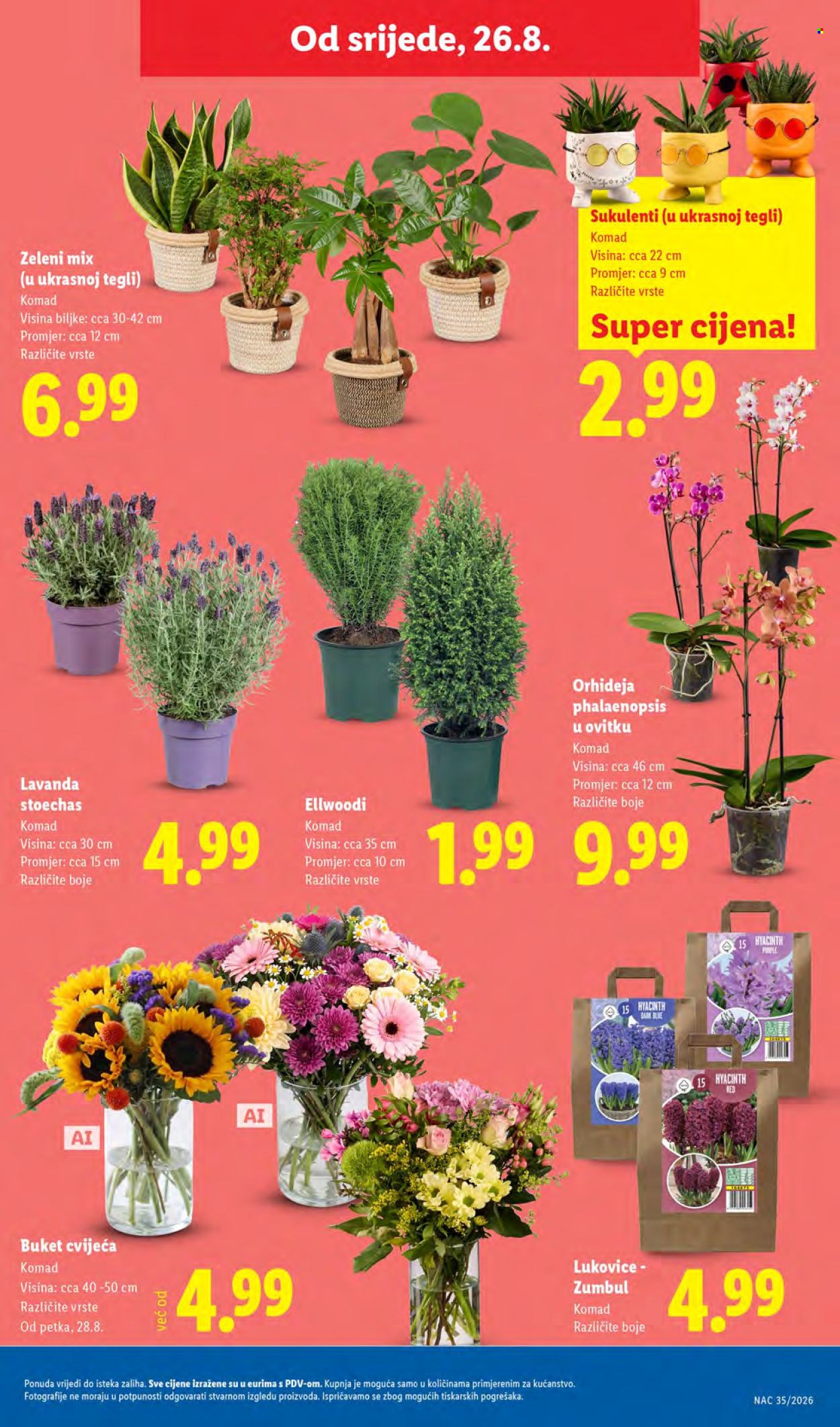 Leták Lidl - 24.8.2026 - 30.8.2026. Strana 47