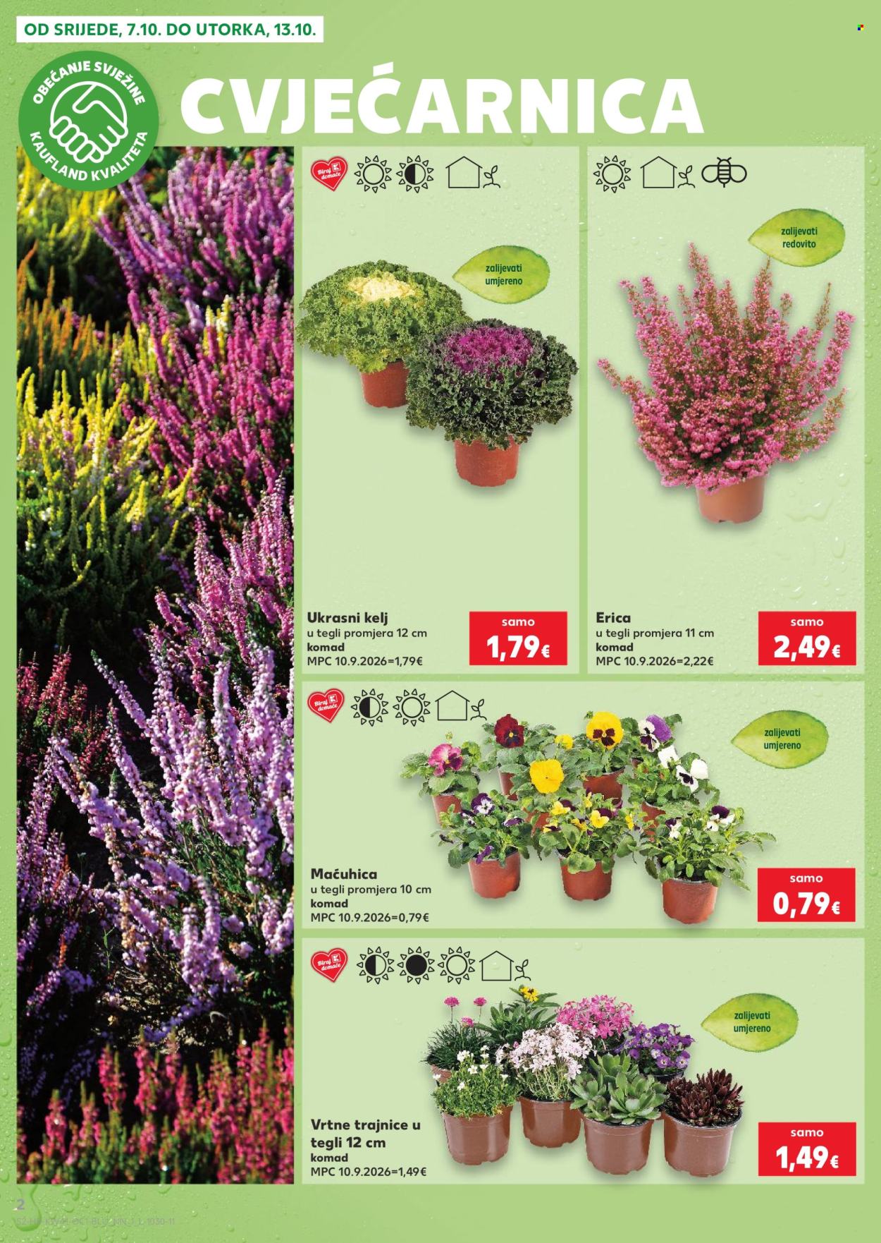 Kaufland katalog - 07.10.2026. - 13.10.2026. Stranica 2