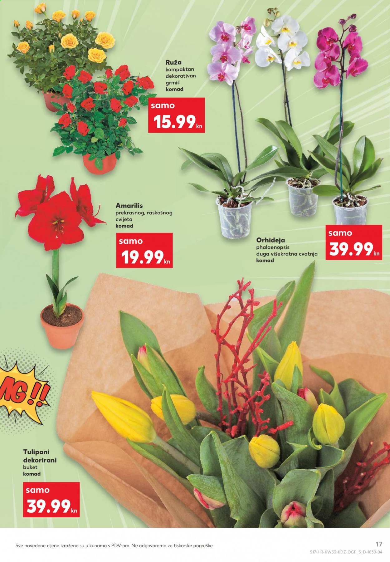 Kaufland katalog - 02.01.2021. - 06.01.2021. Stranica 17