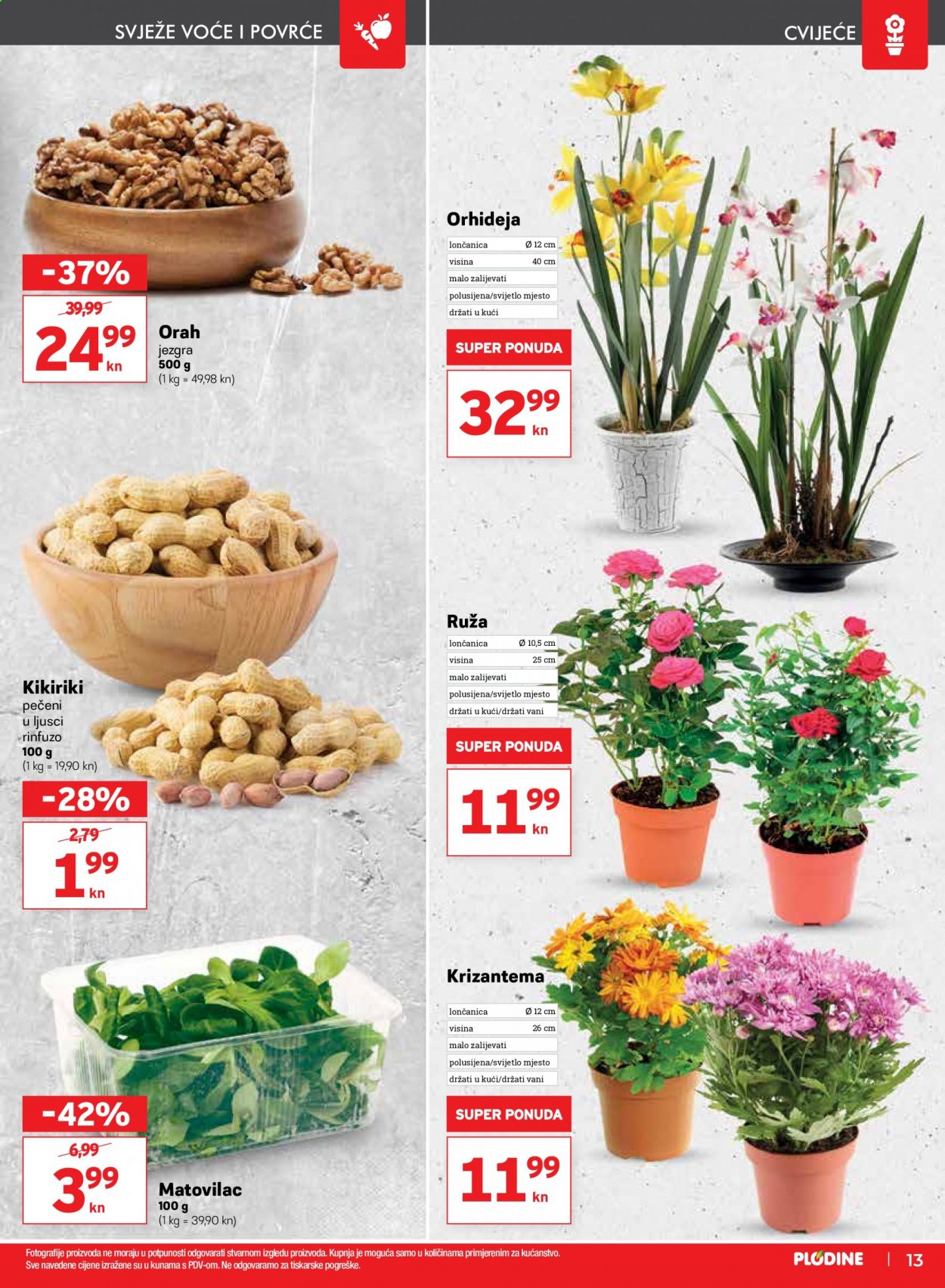 Plodine katalog - 07.01.2021. - 13.01.2021. Stranica 13