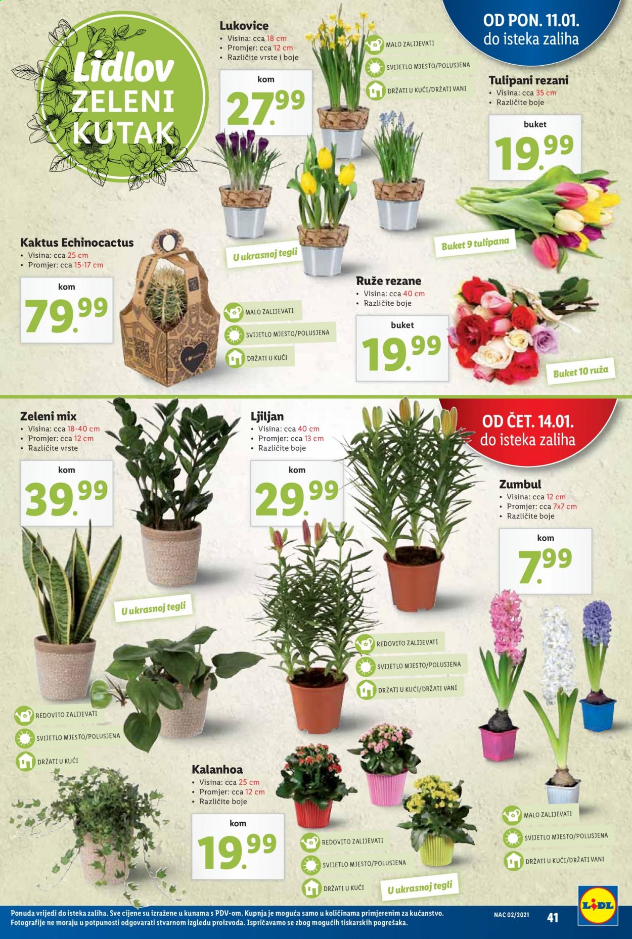Lidl katalog - 11.01.2021. - 17.01.2021. Stranica 41