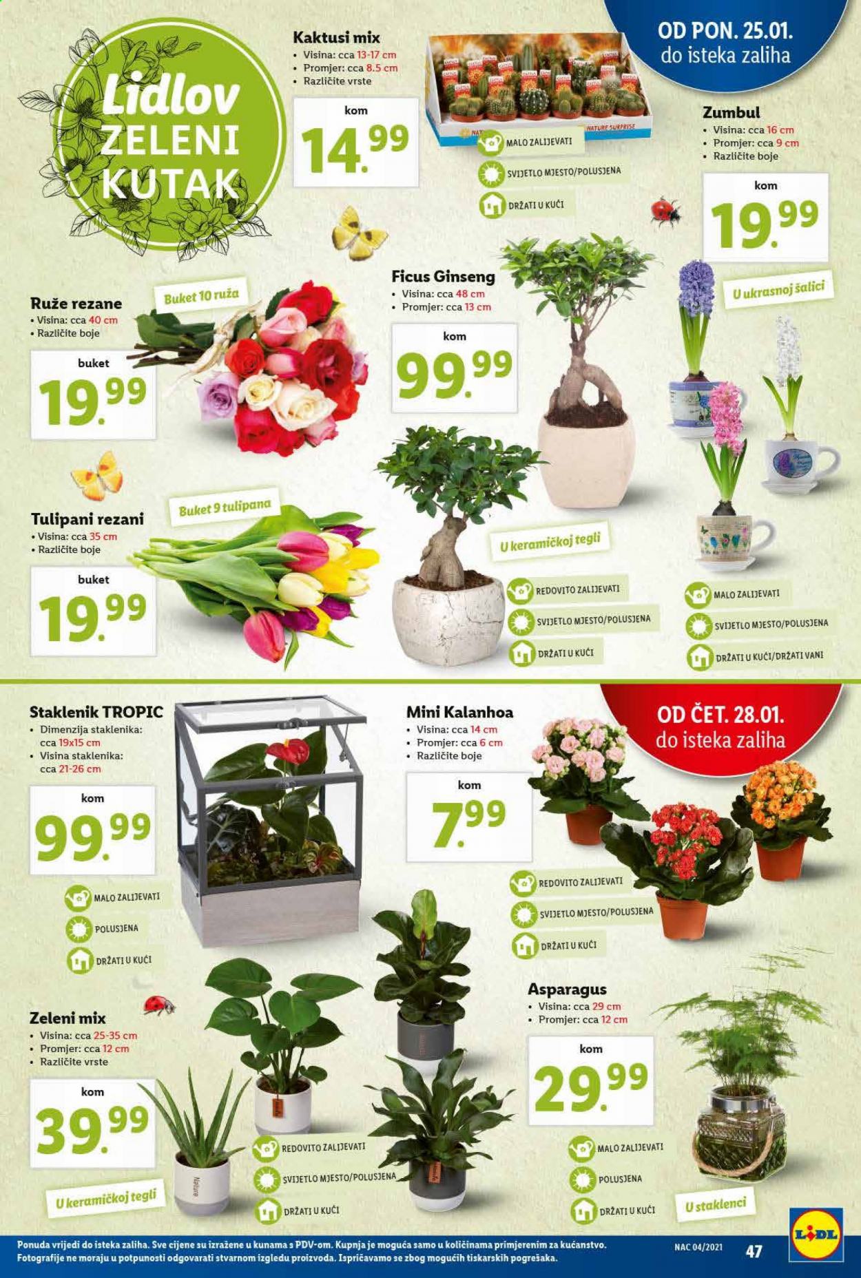 Lidl katalog - 25.01.2021. - 31.01.2021. Stranica 47