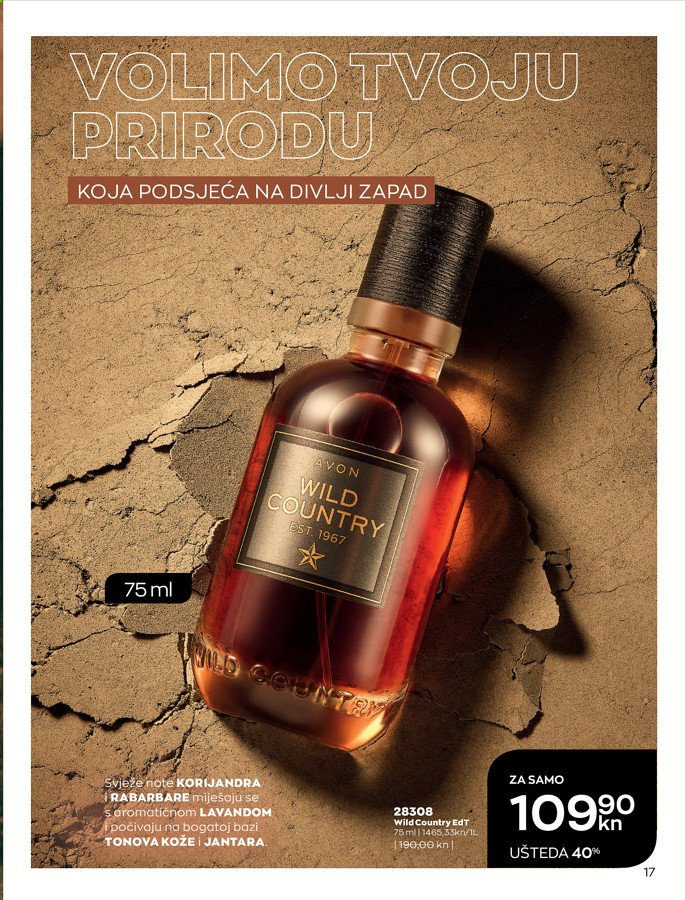 Avon katalog - 01.02.2021. - 28.02.2021. Stranica 17