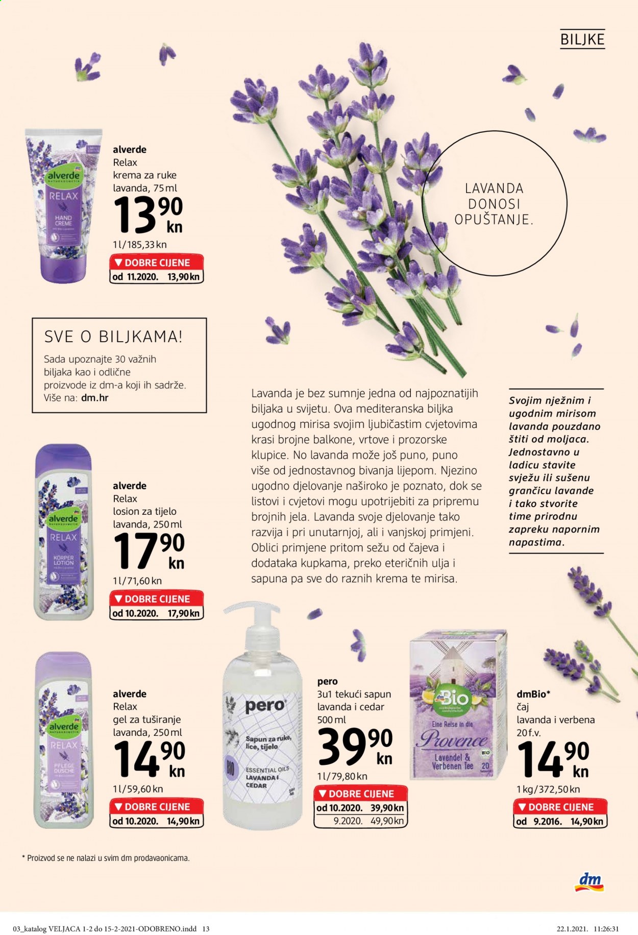 dm katalog - 01.02.2021. - 15.02.2021. Stranica 13