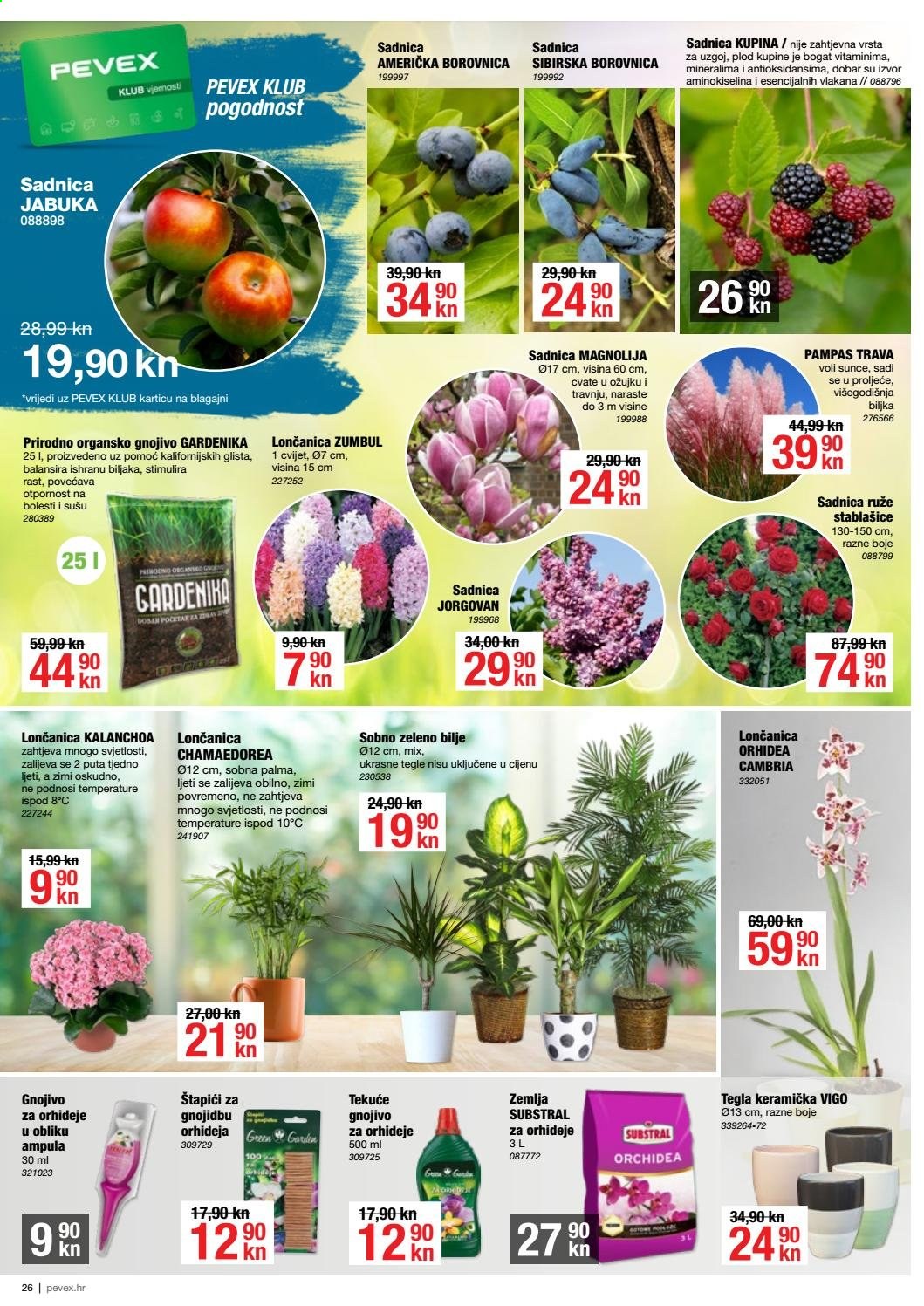 Pevex katalog - 04.02.2021. - 02.03.2021. Stranica 26