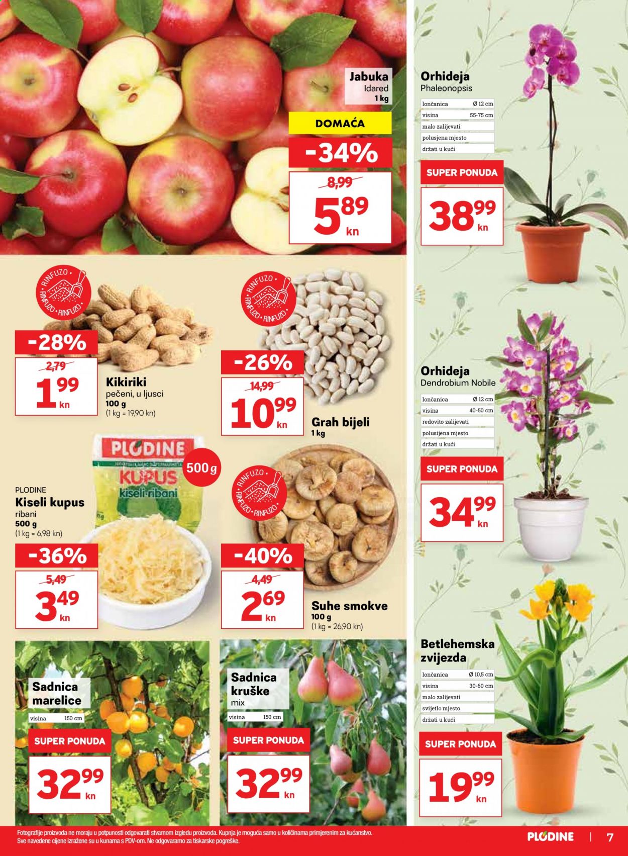 Plodine katalog - 04.02.2021. - 10.02.2021. Stranica 7