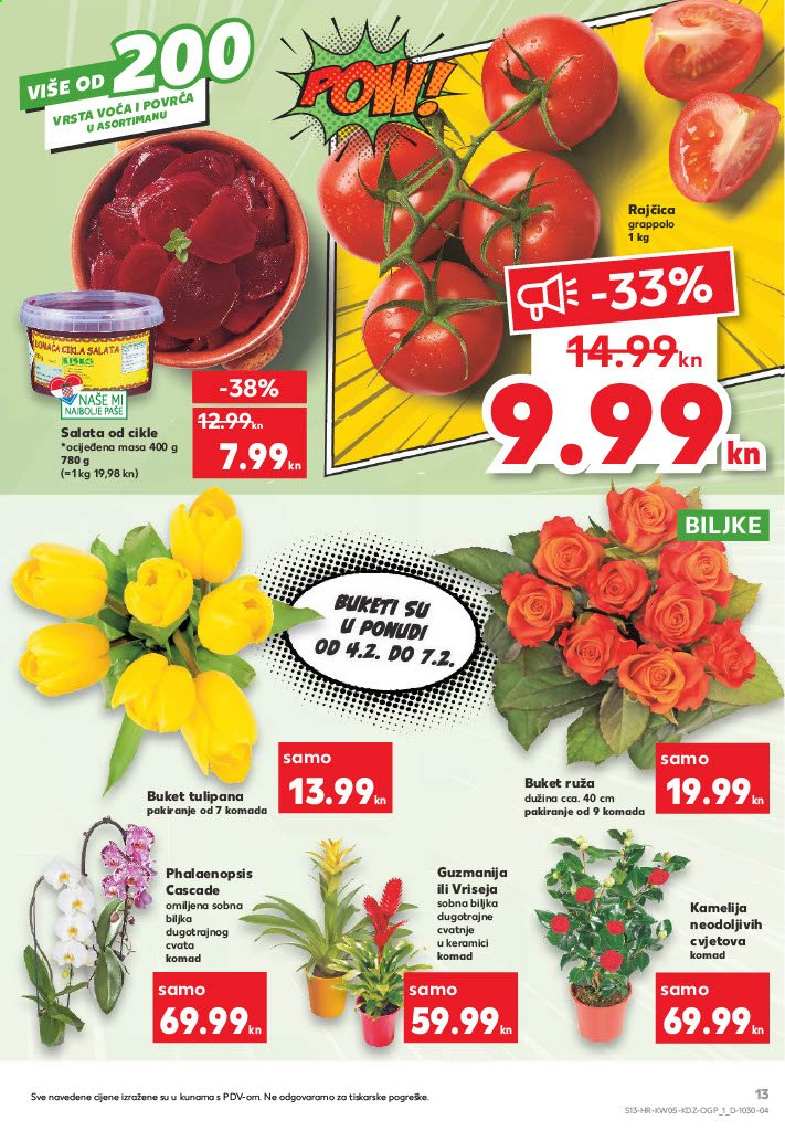 Kaufland katalog - 04.02.2021. - 10.02.2021. Stranica 13