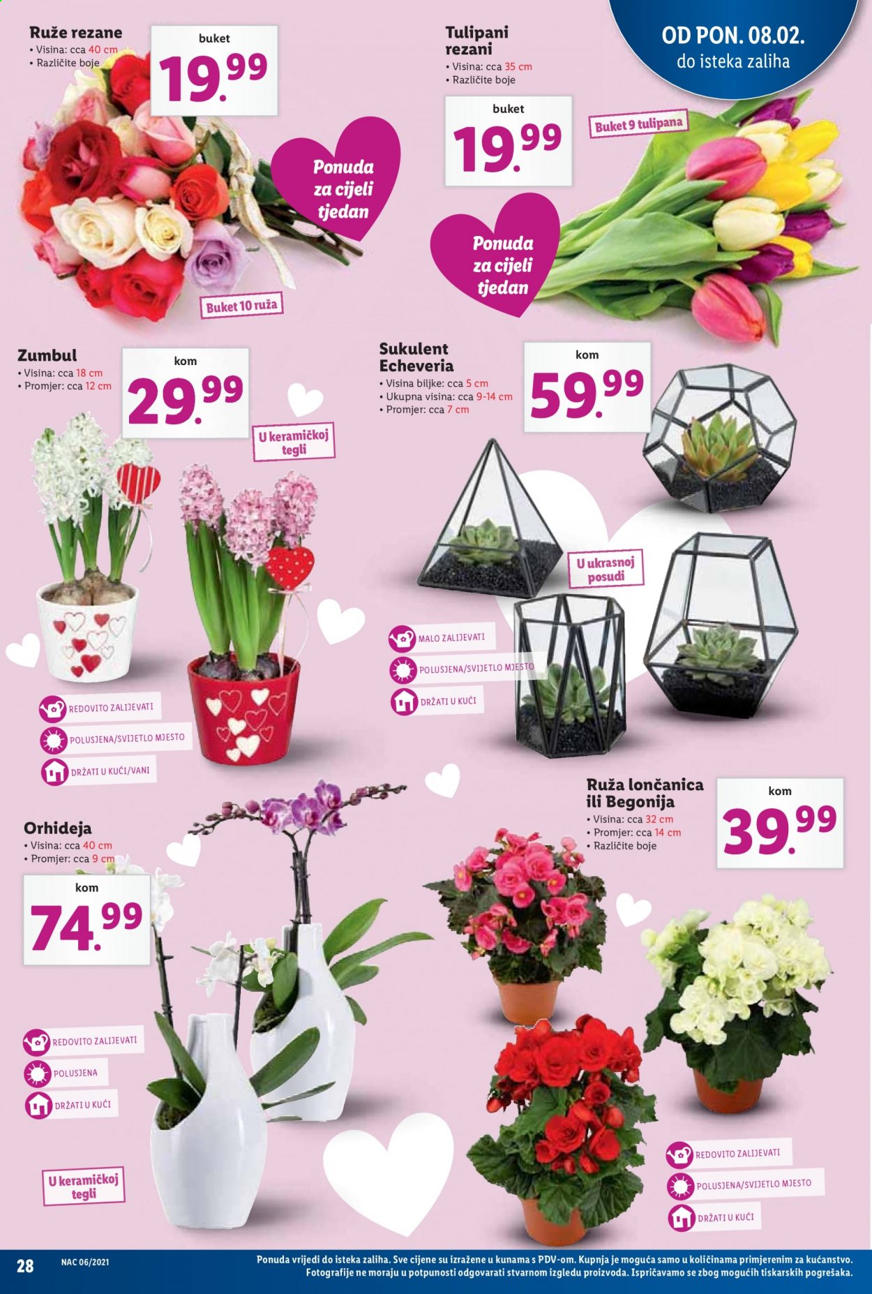 Lidl katalog - 08.02.2021. - 14.02.2021. Stranica 28